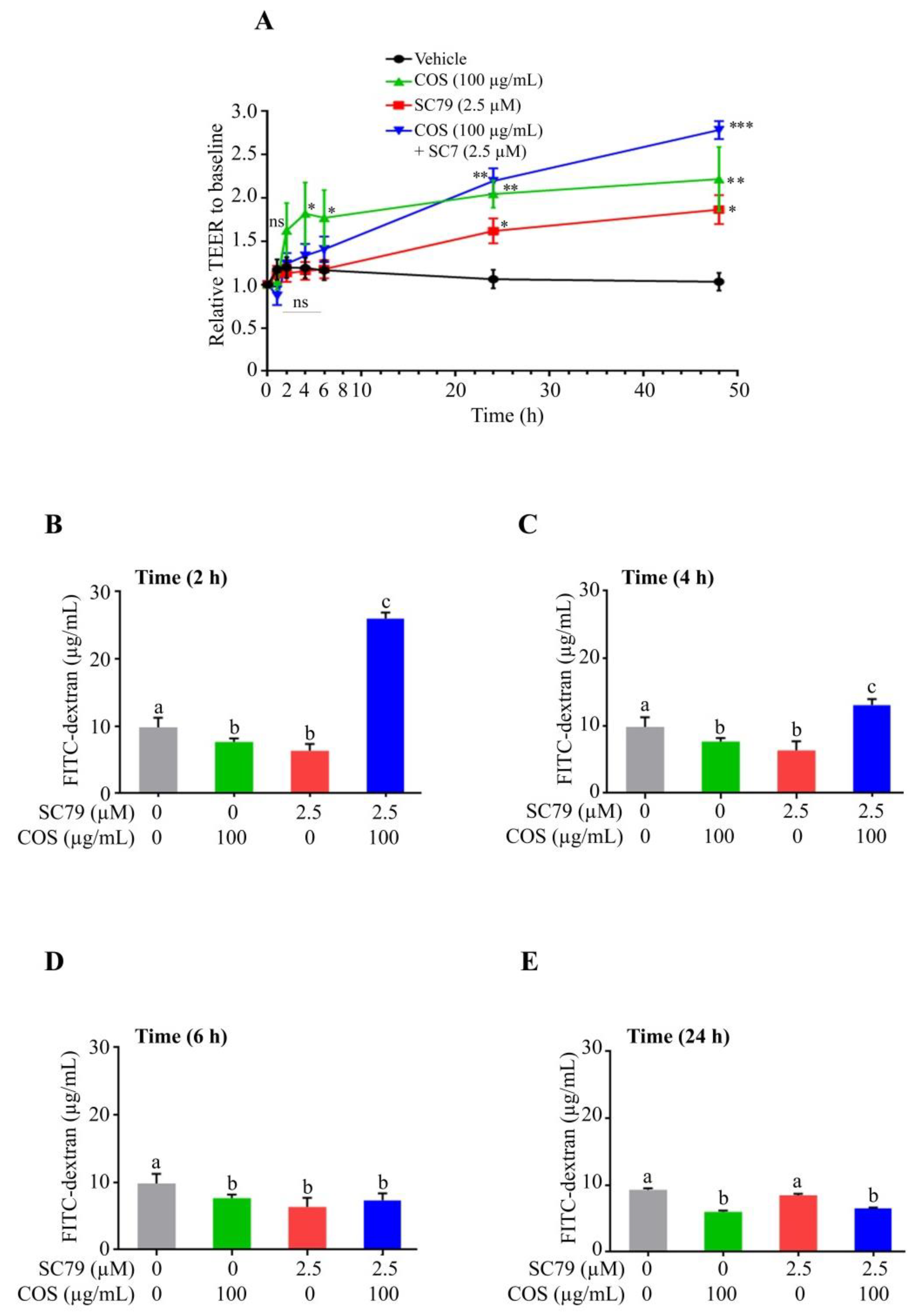 Polymers 15 01681 g003