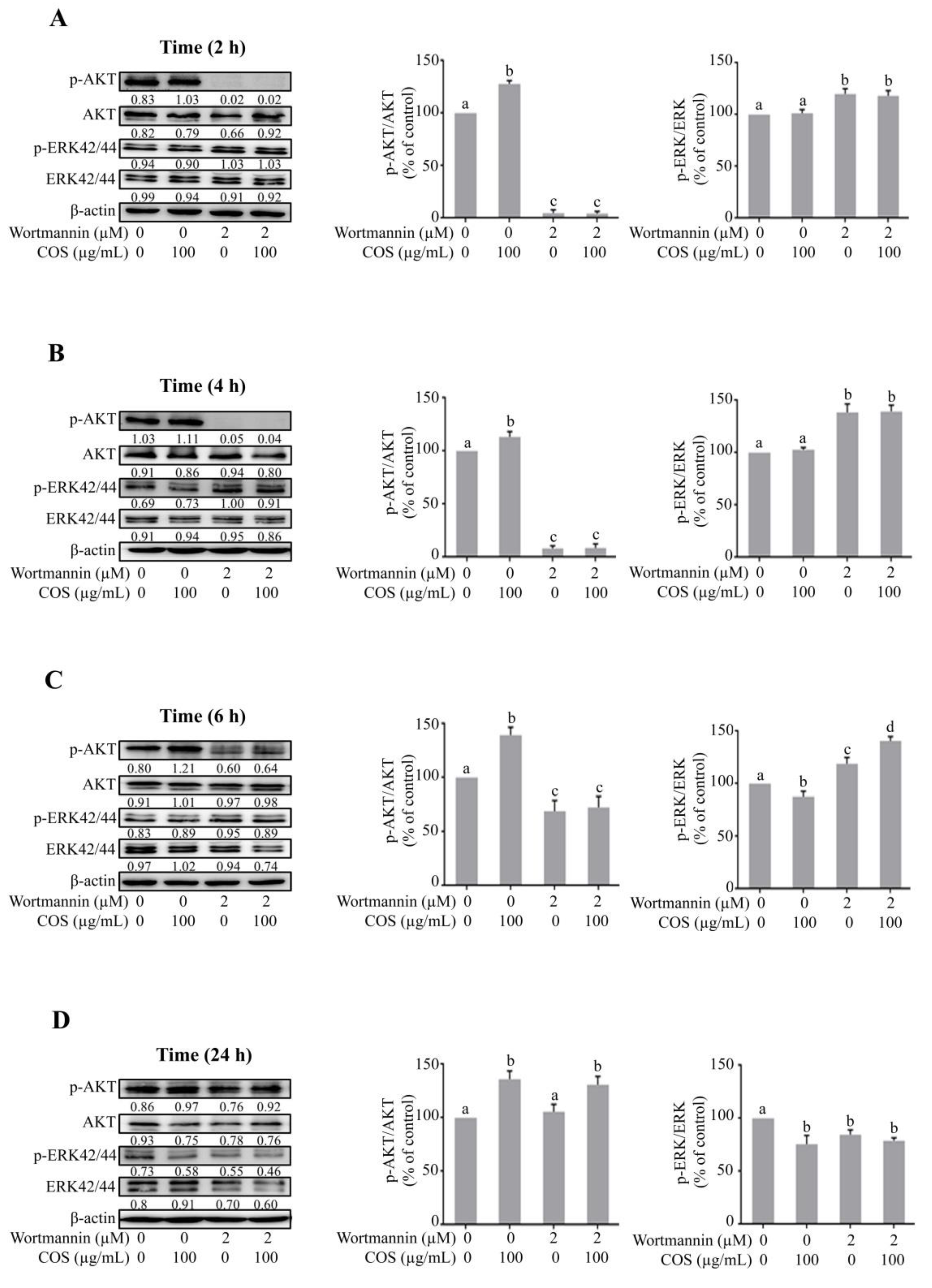Polymers 15 01681 g004