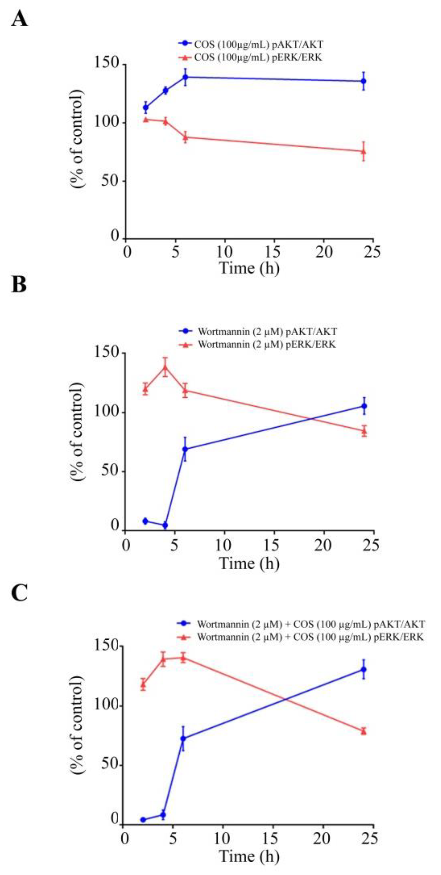 Polymers 15 01681 g005