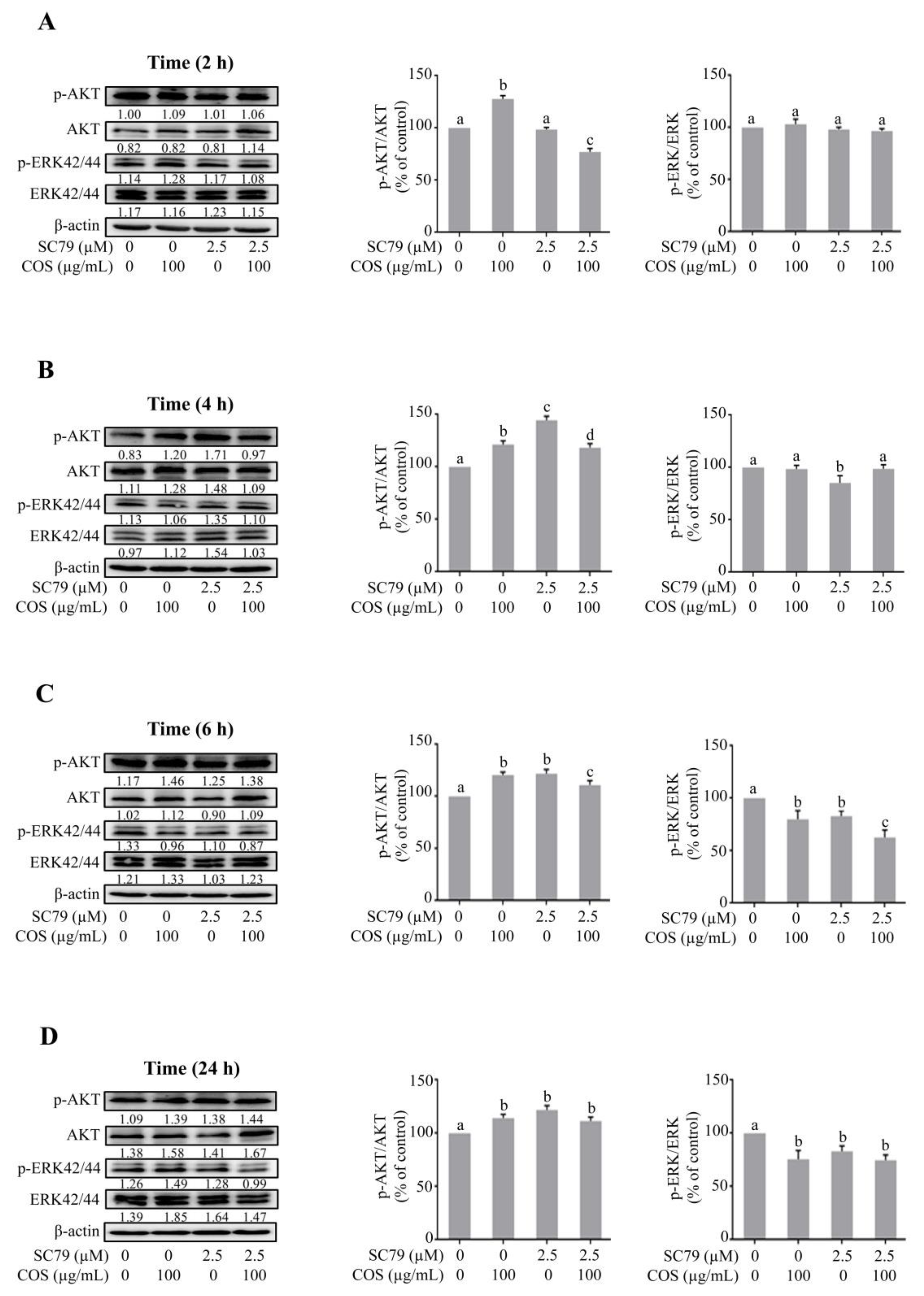 Polymers 15 01681 g006