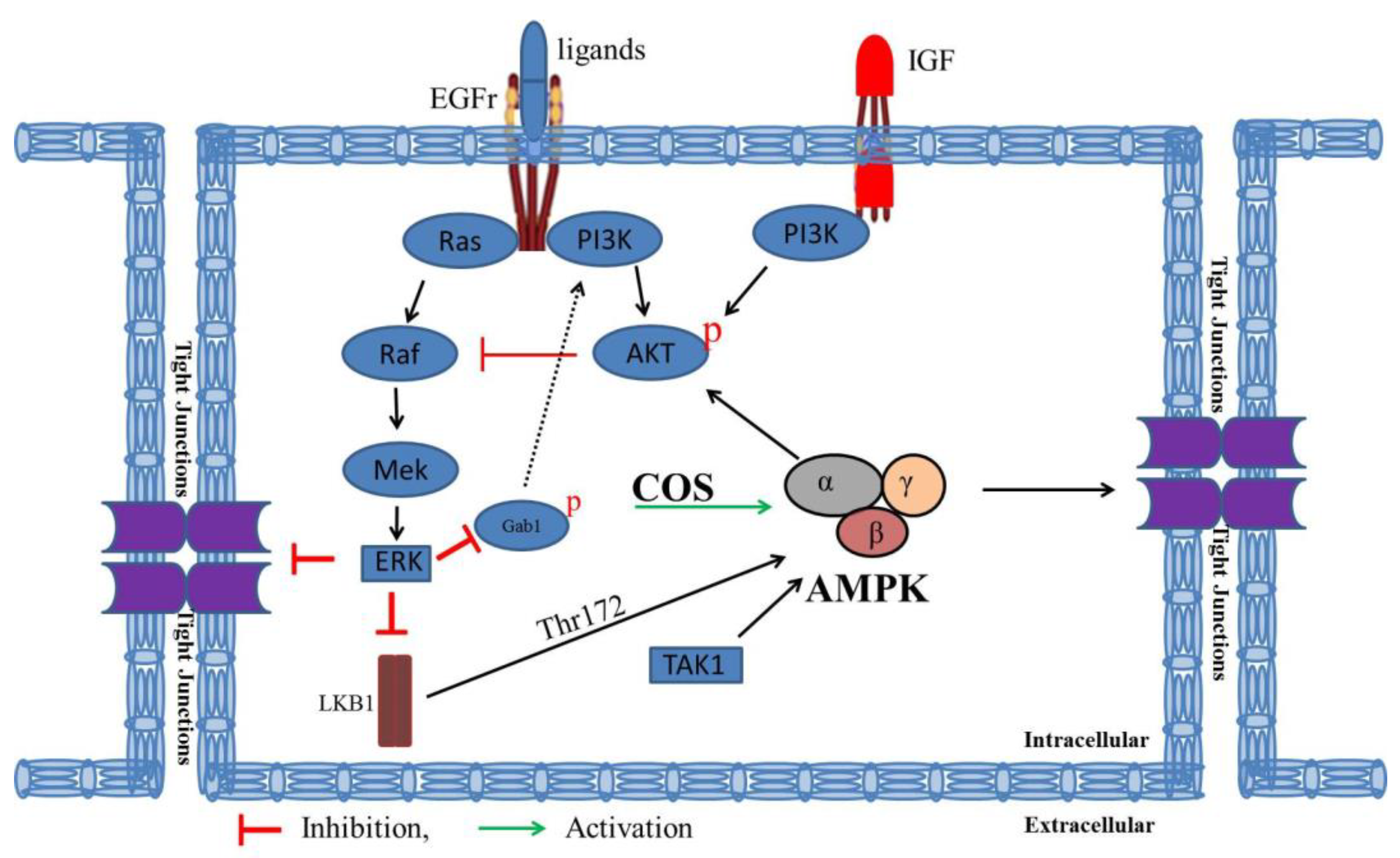Polymers 15 01681 g008
