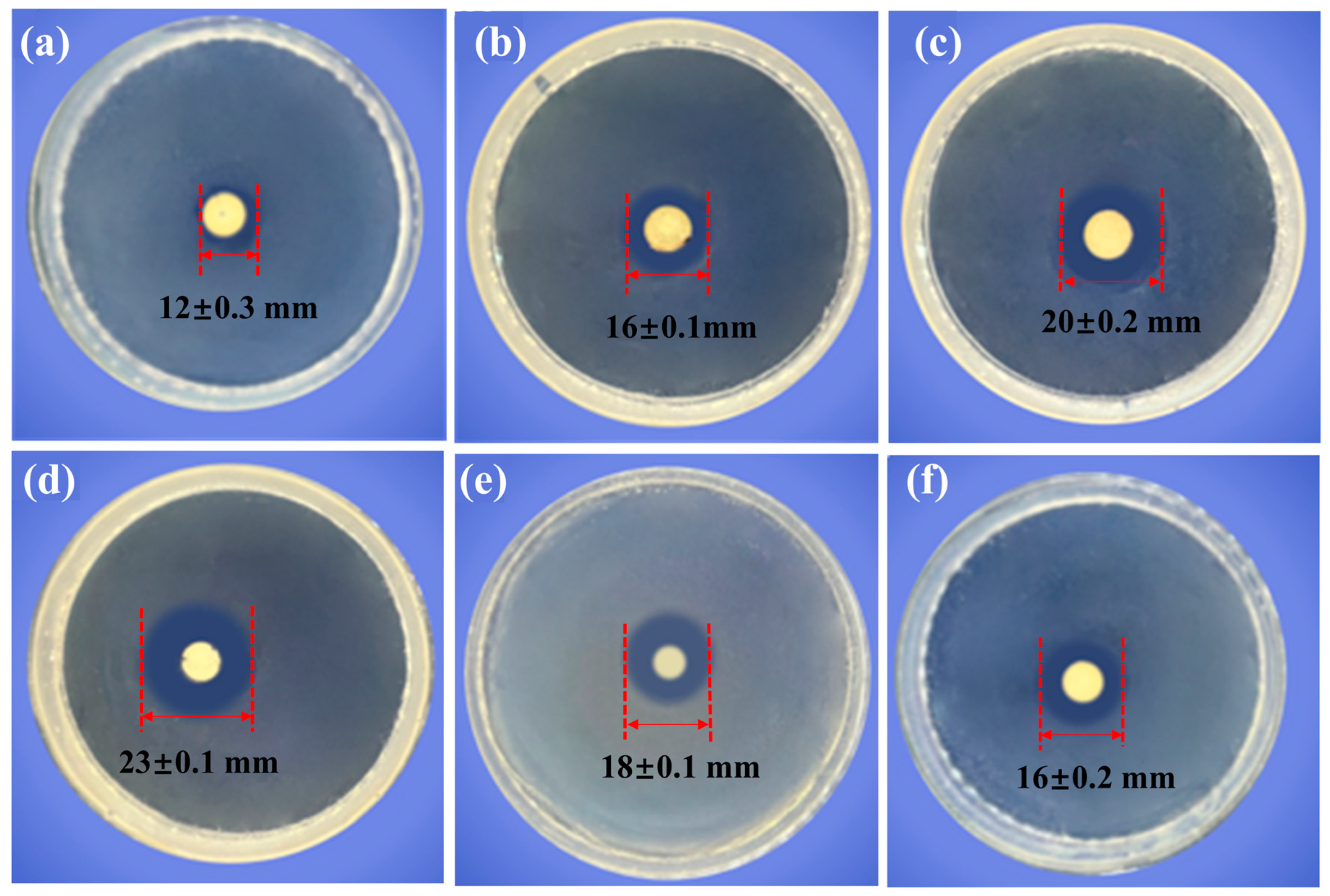 Polymers 15 01688 g006 Polymers 15 01688 g006