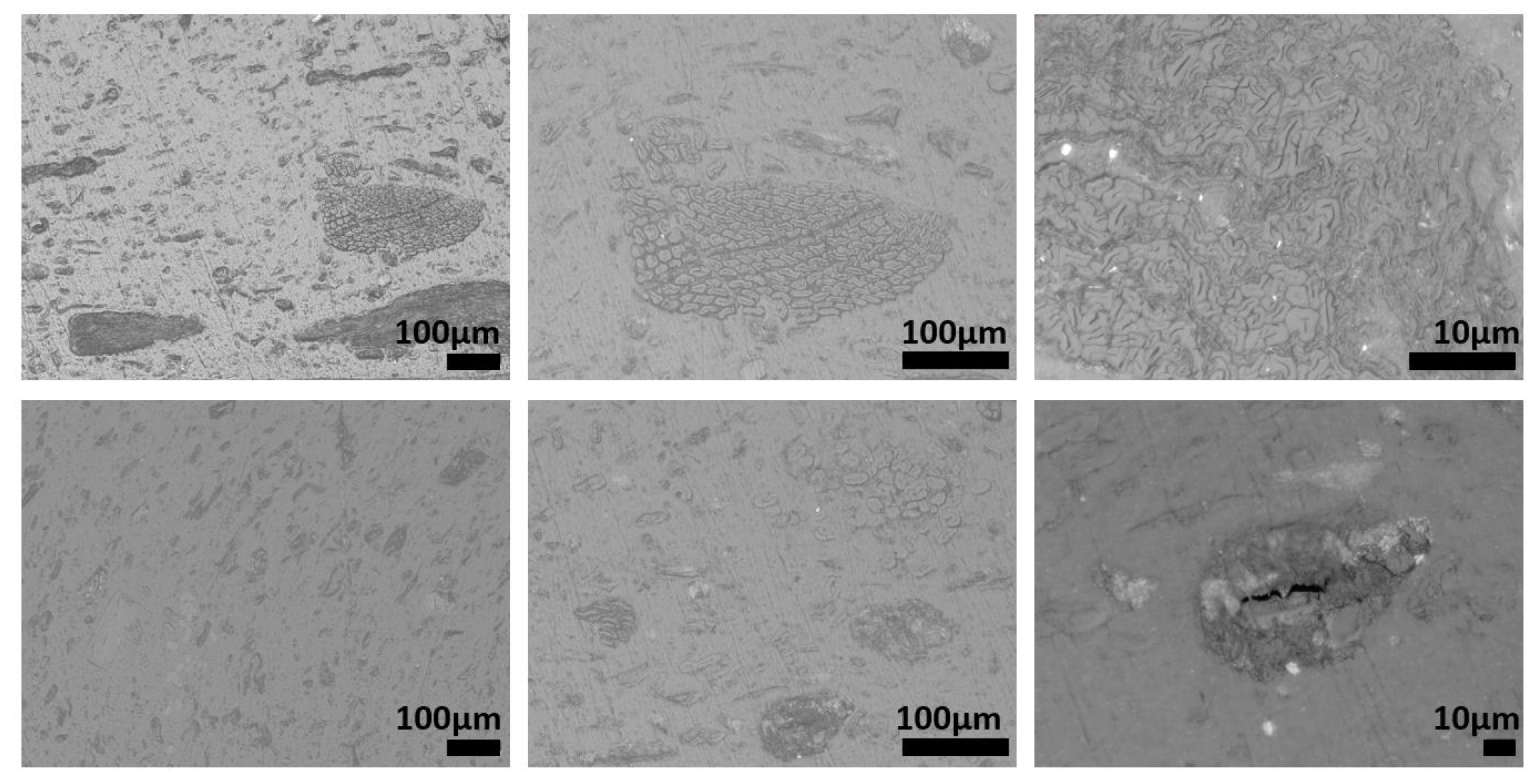 Polymers 15 01690 g008
