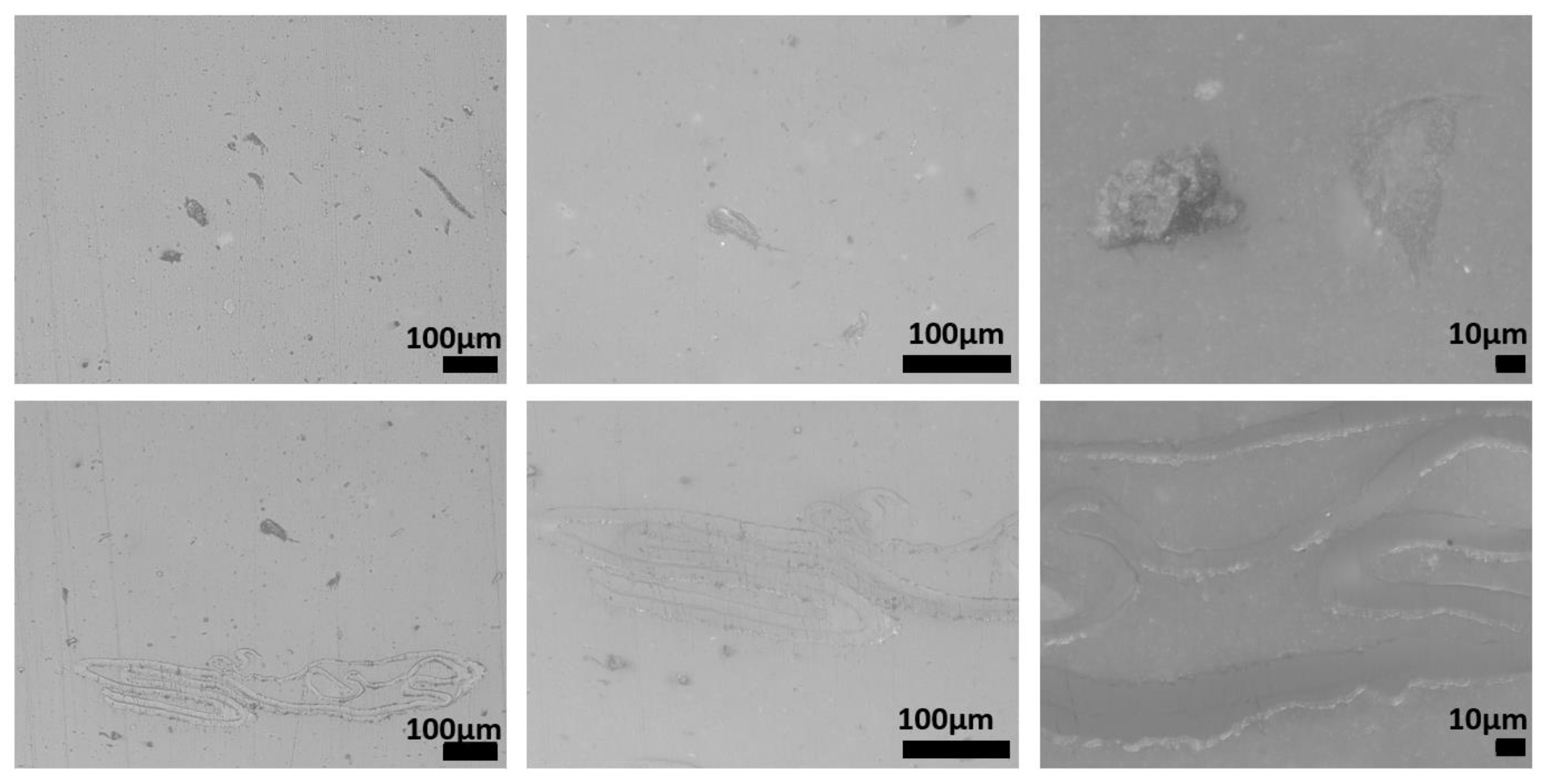 Polymers 15 01690 g009