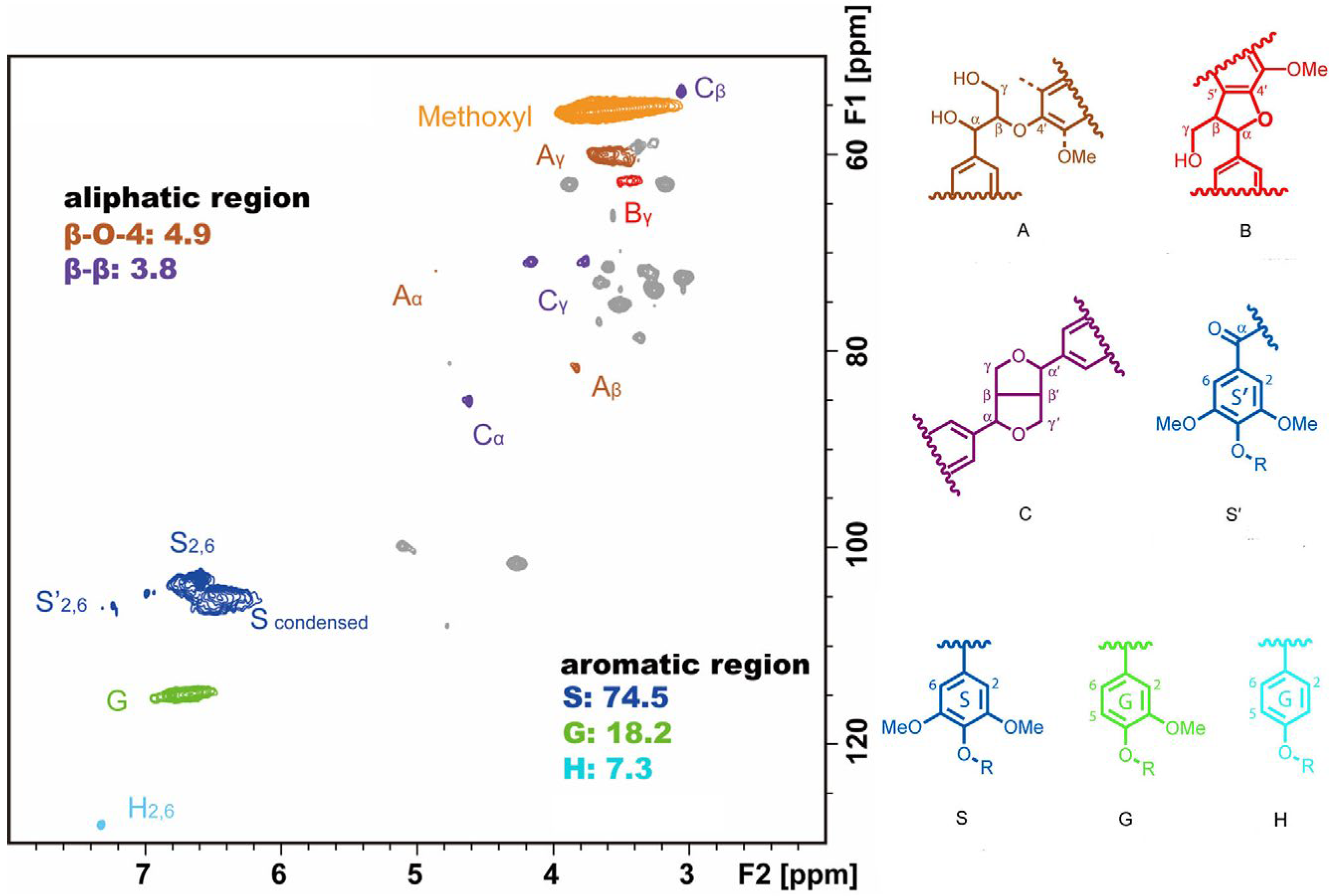 Polymers 15 01693 g006