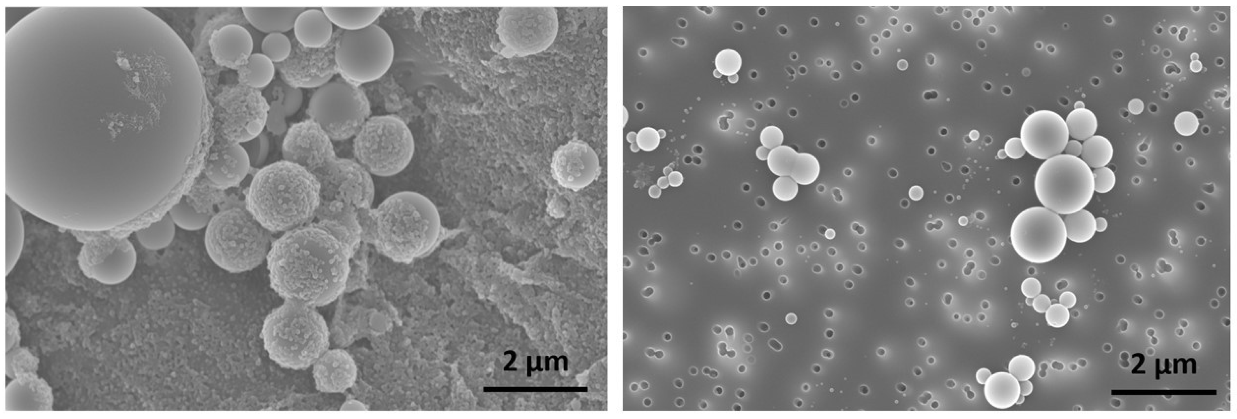 Polymers 15 01695 g002