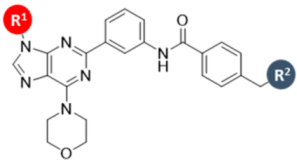 Polymers 15 01703 i001 Polymers 15 01703 i001