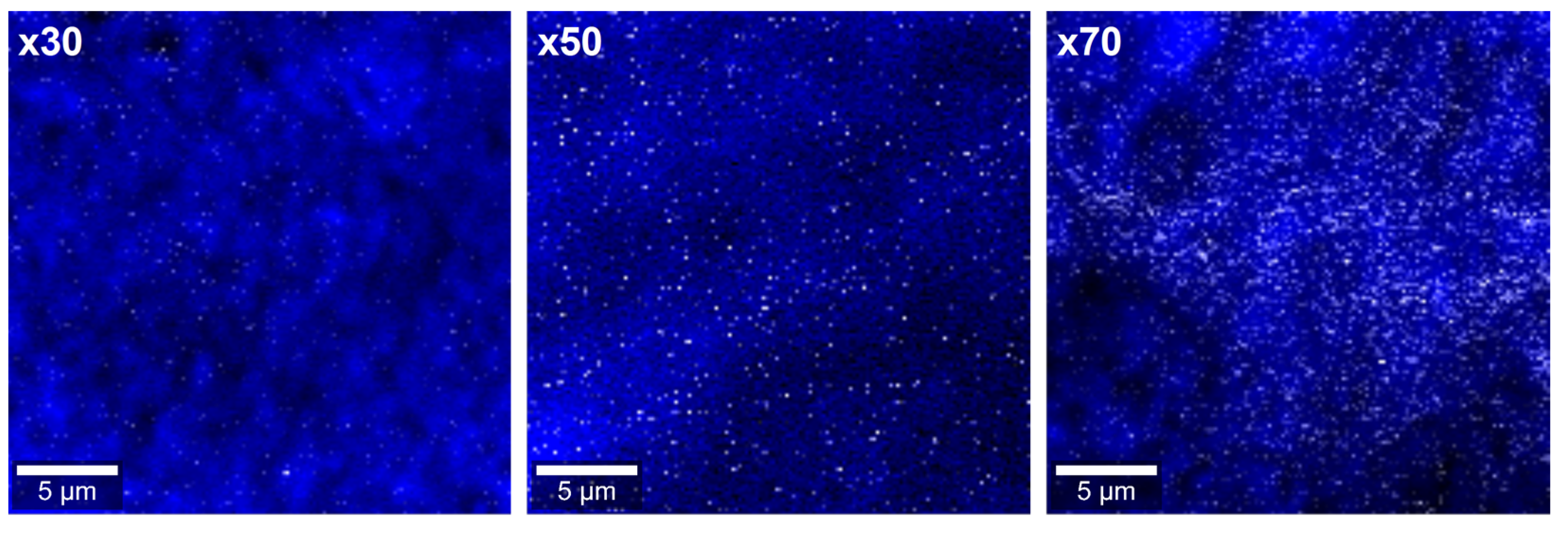 Polymers 15 01706 g002 Polymers 15 01706 g002