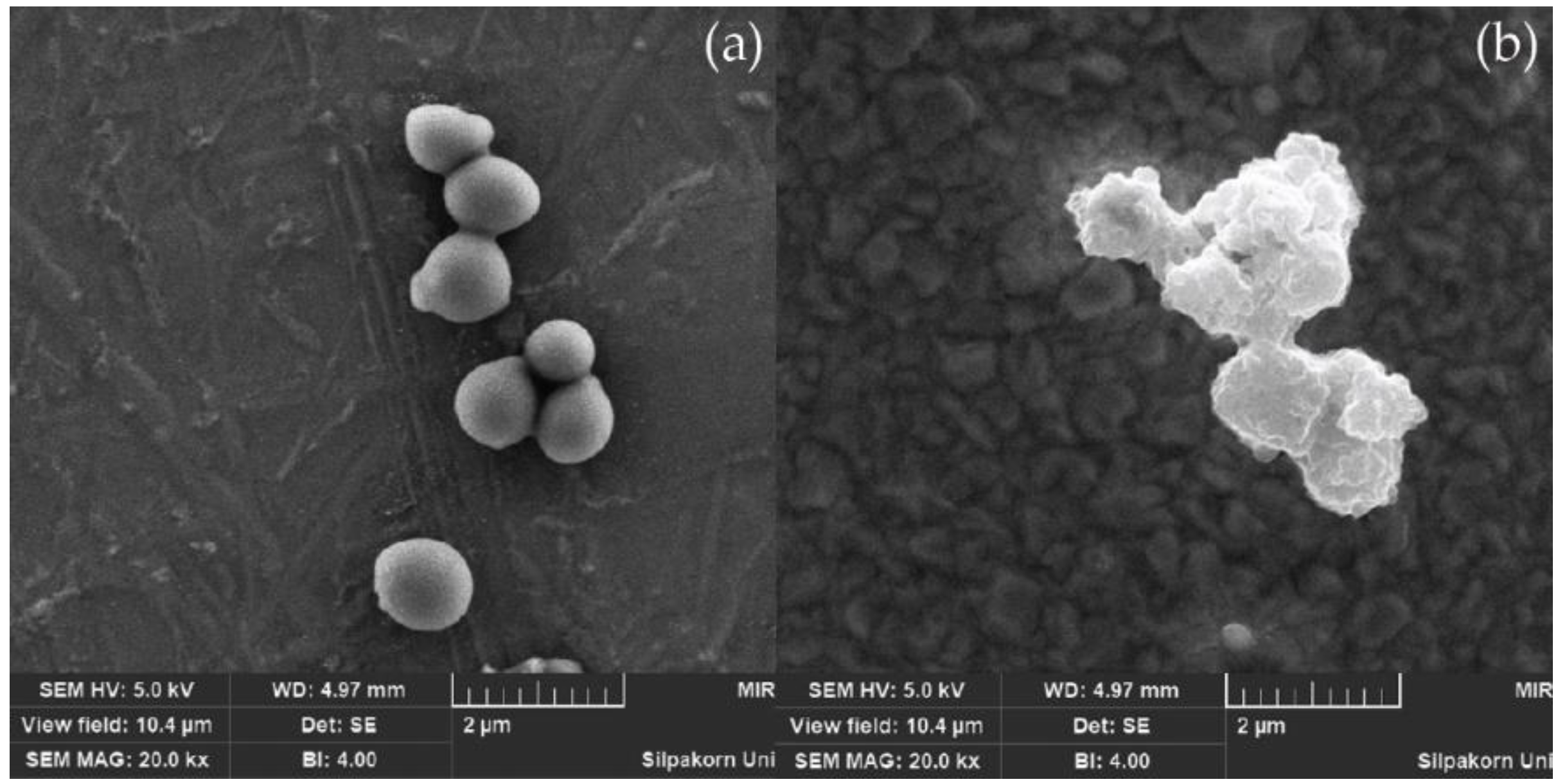 Polymers 15 01712 g002