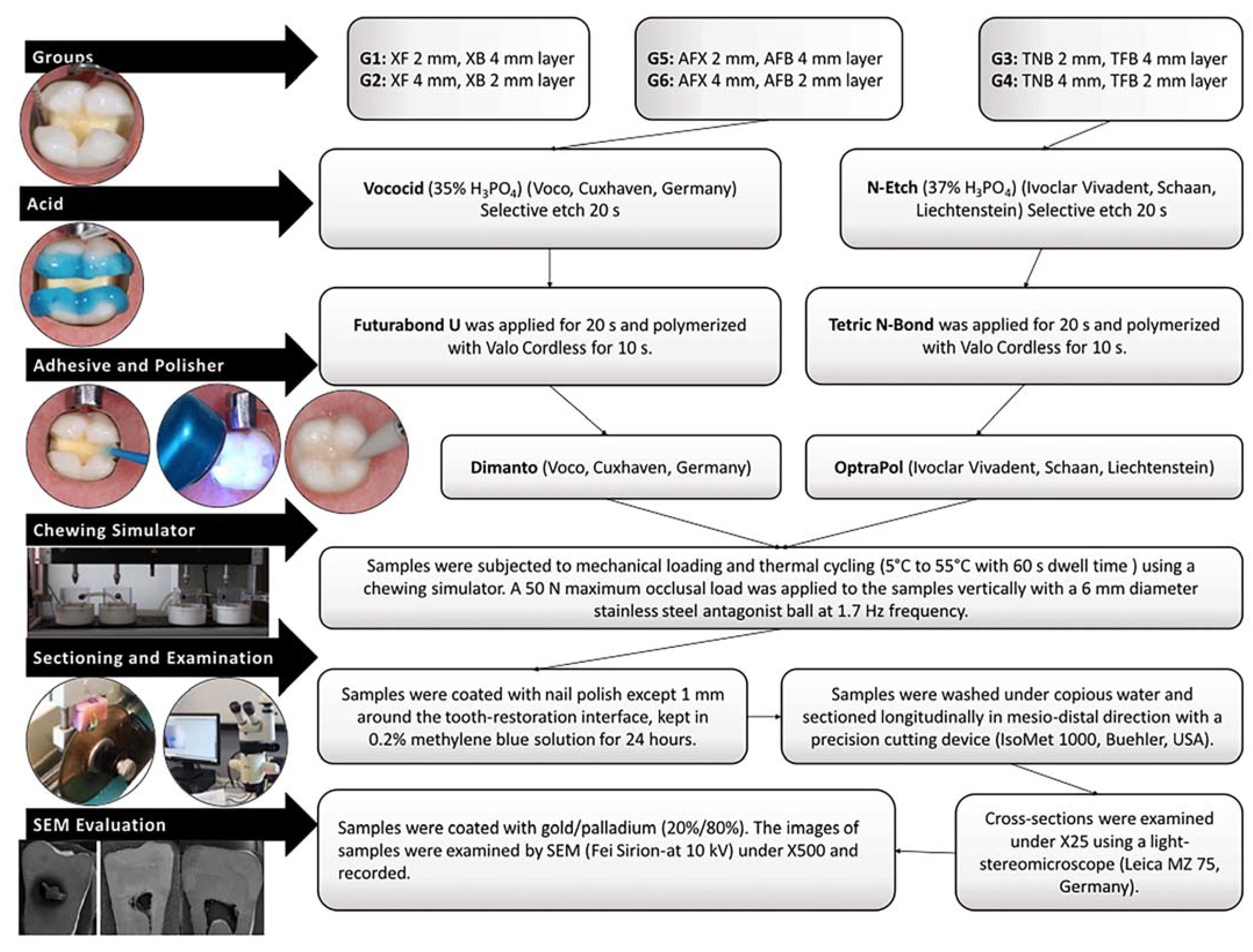 Polymers 15 01716 g002