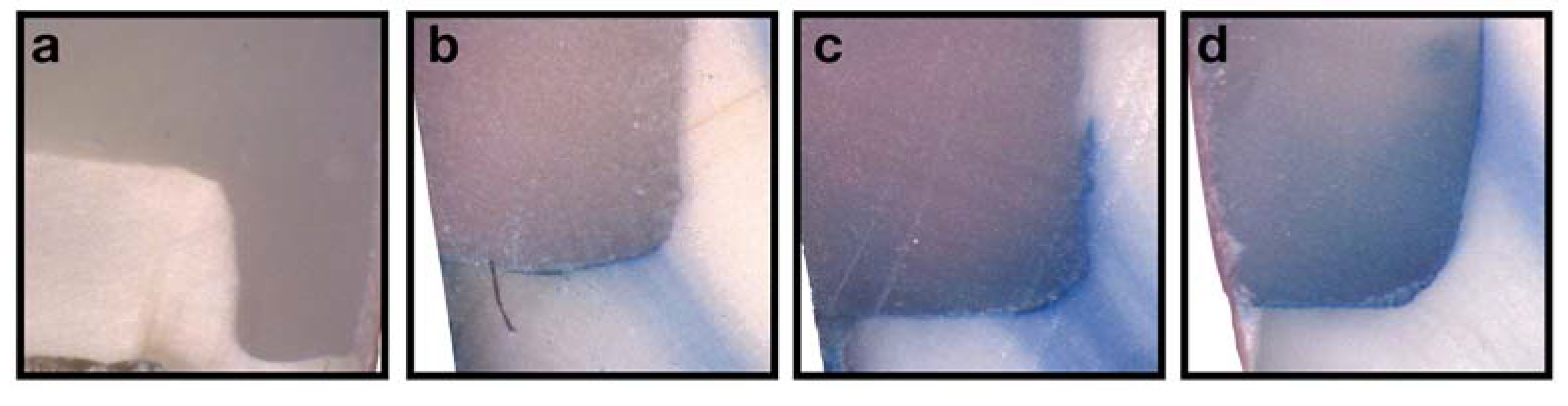 Polymers 15 01716 g003