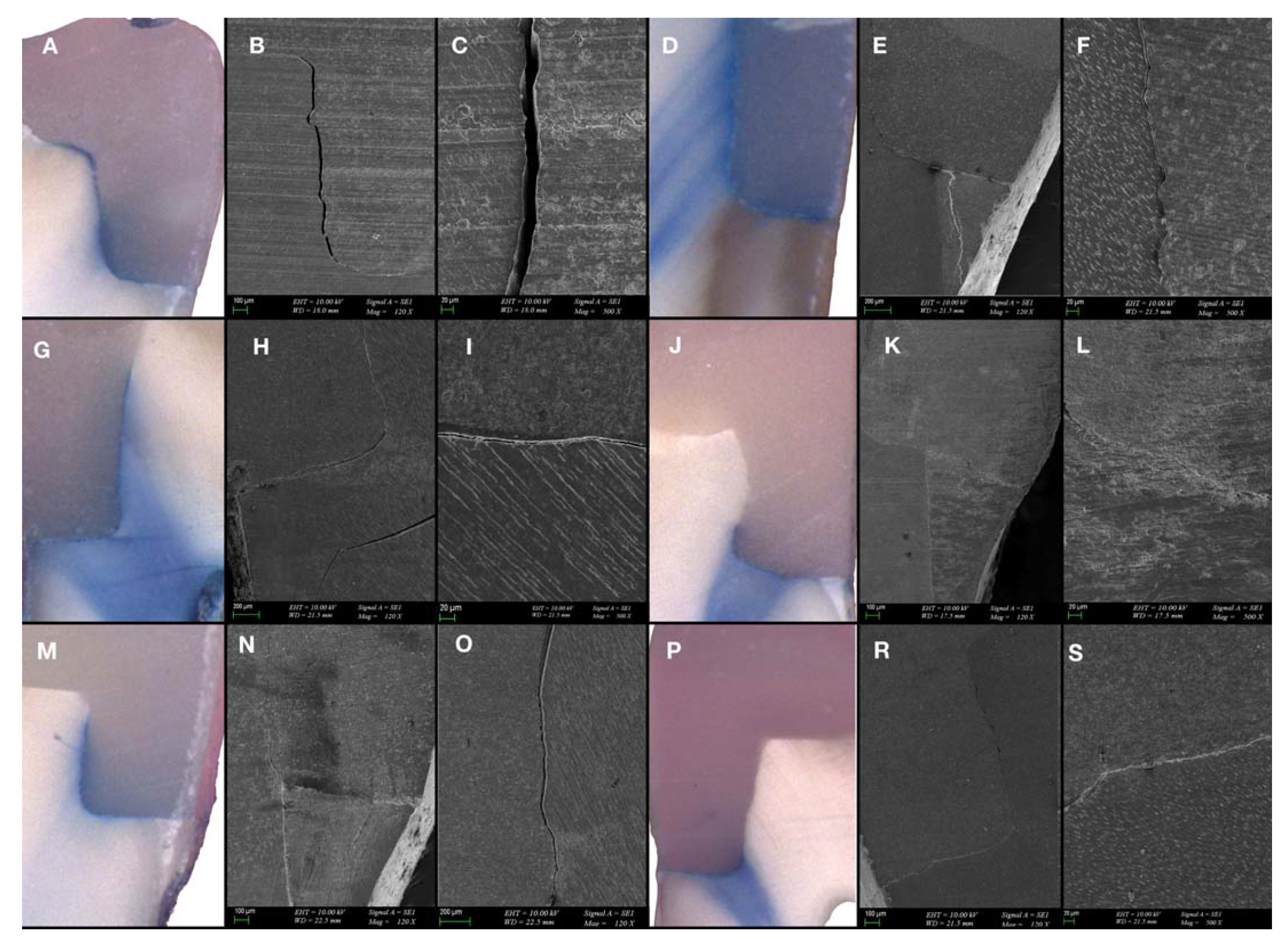 Polymers 15 01716 g004