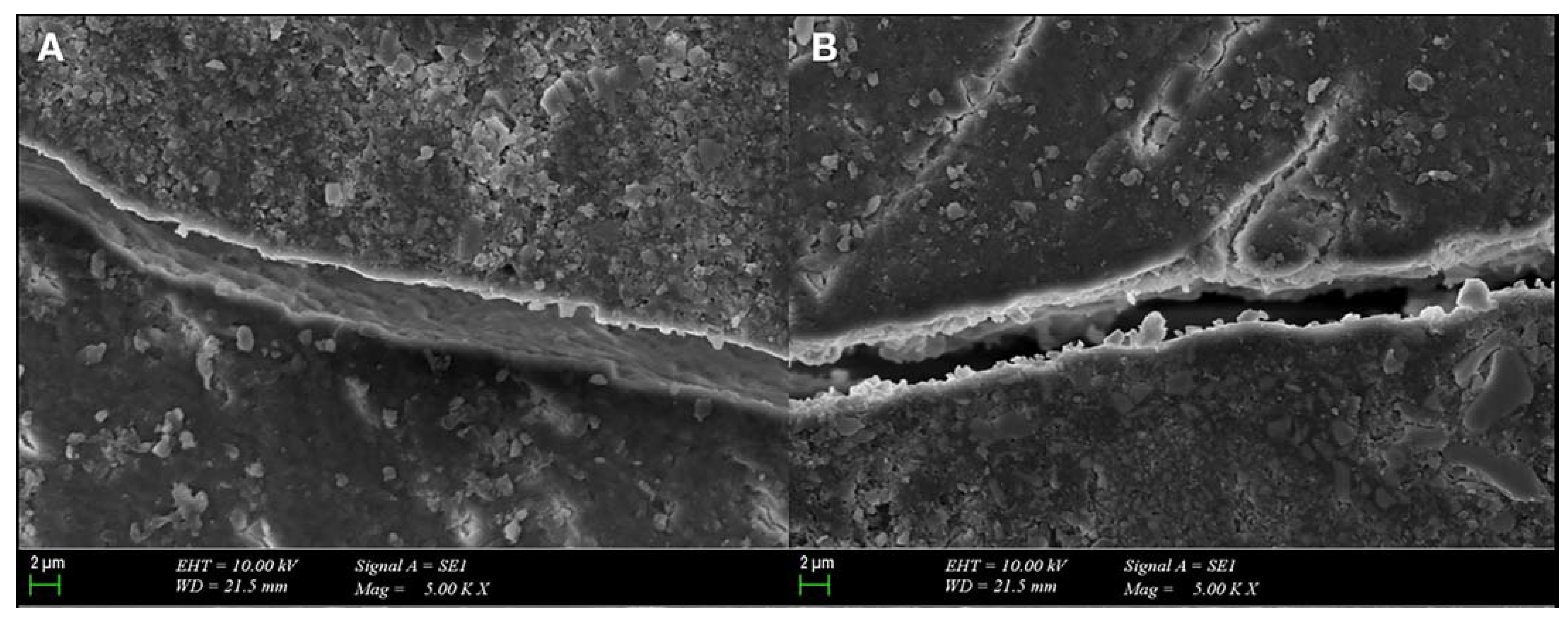 Polymers 15 01716 g005