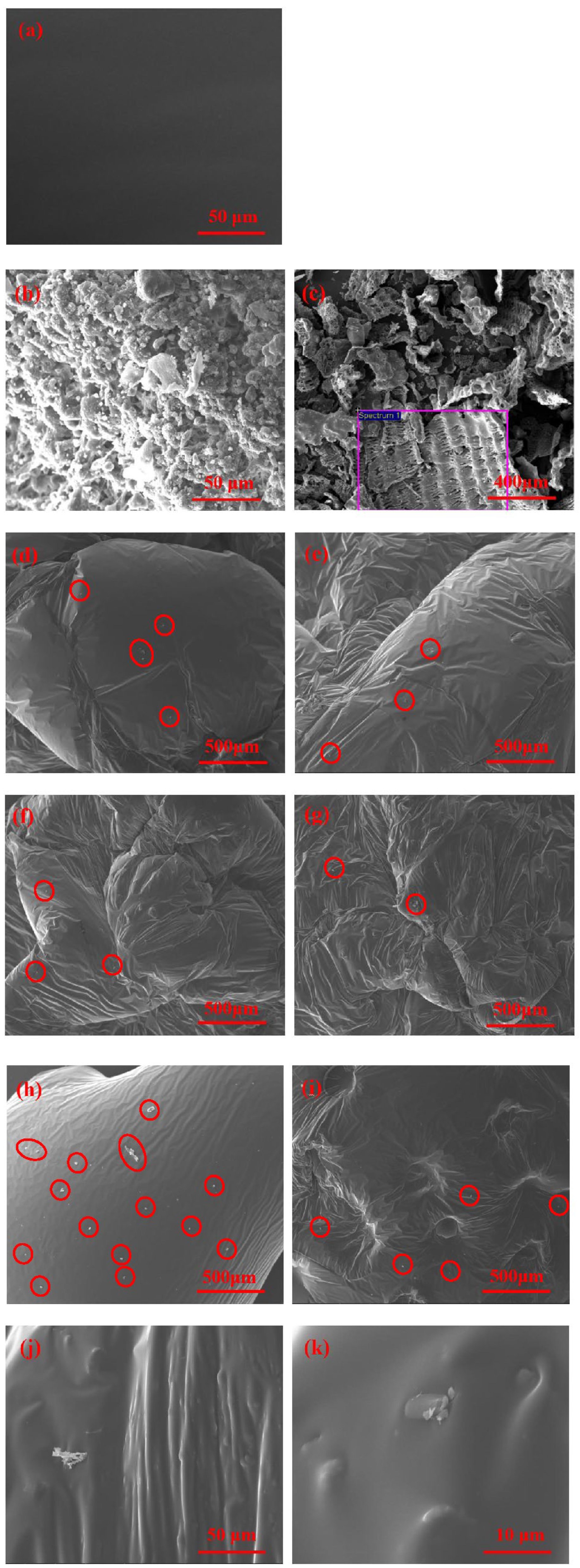 Polymers 15 01718 g012