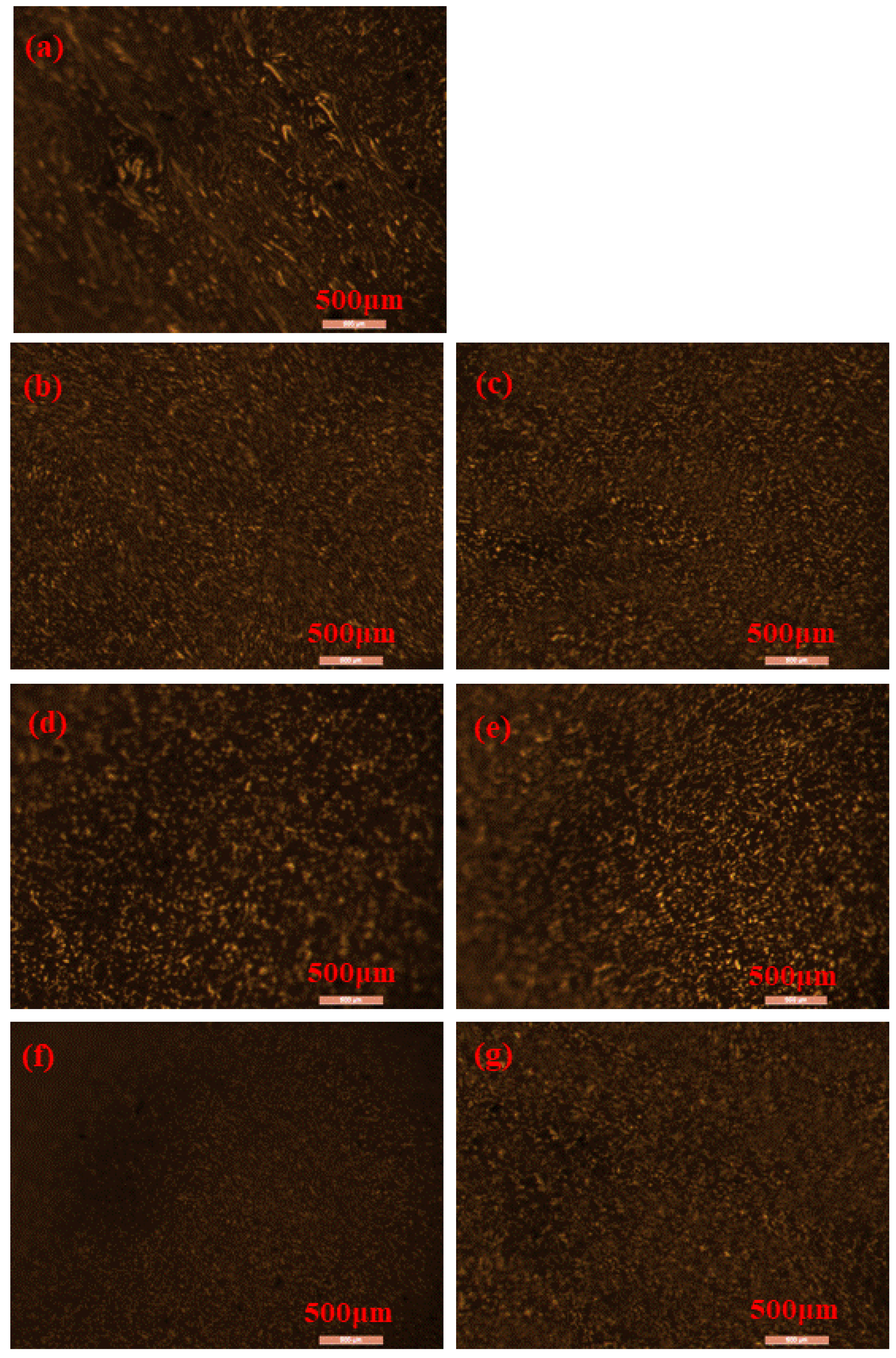Polymers 15 01718 g013