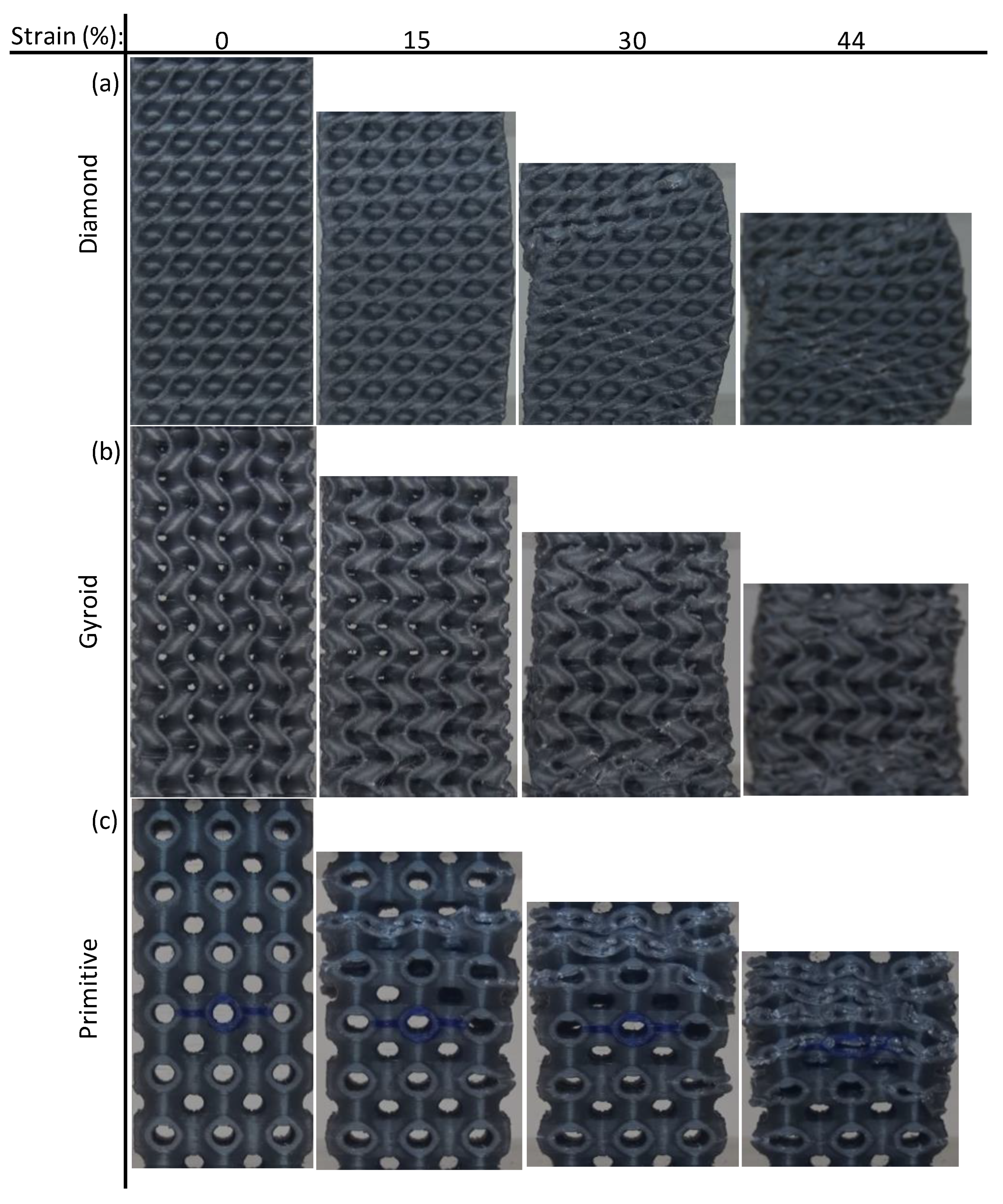 Polymers 15 01720 g007