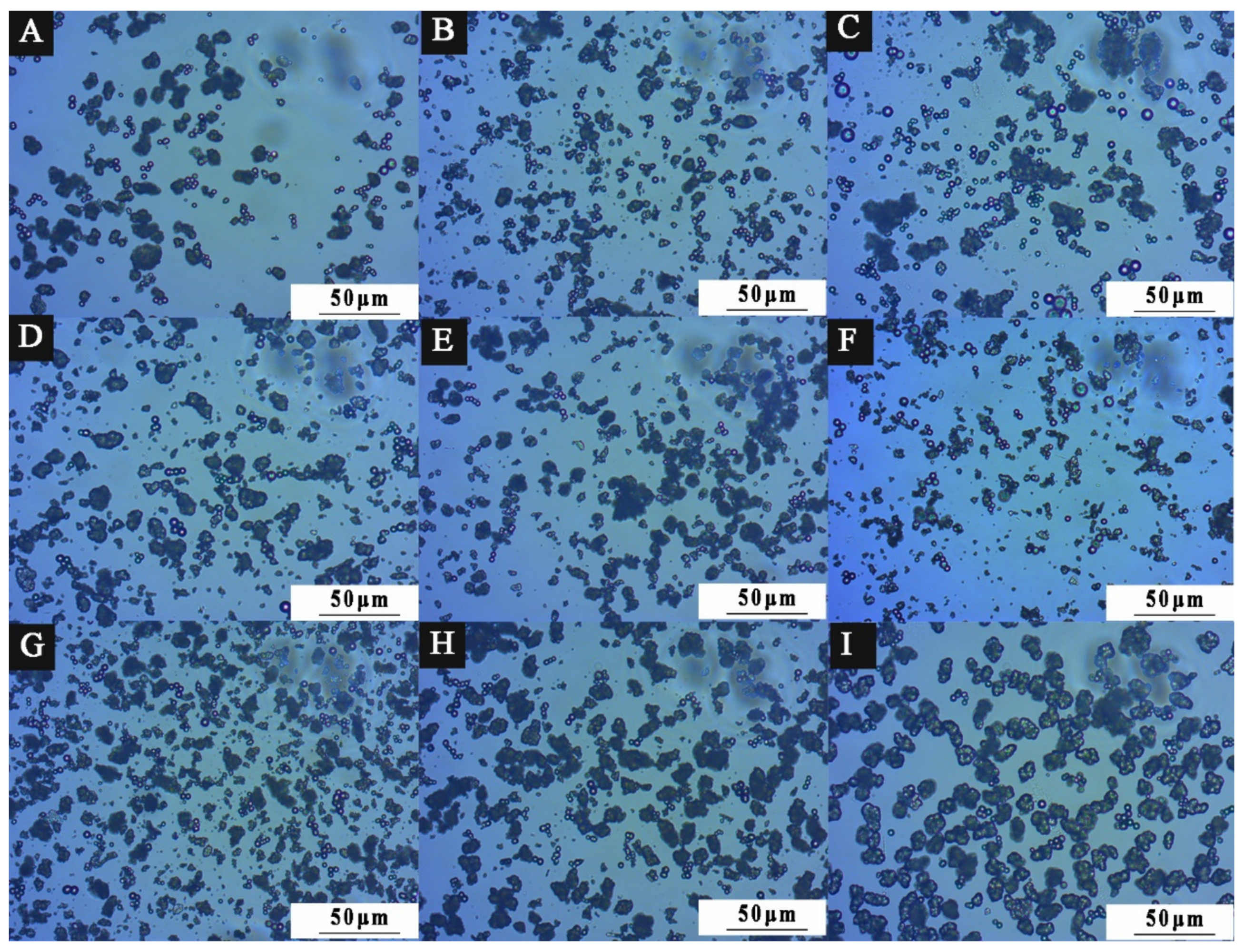 Polymers 15 01722 g004
