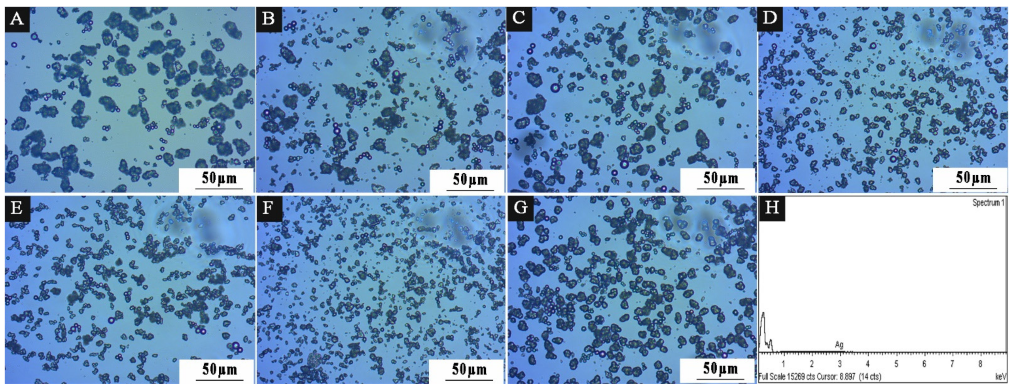 Polymers 15 01722 g011