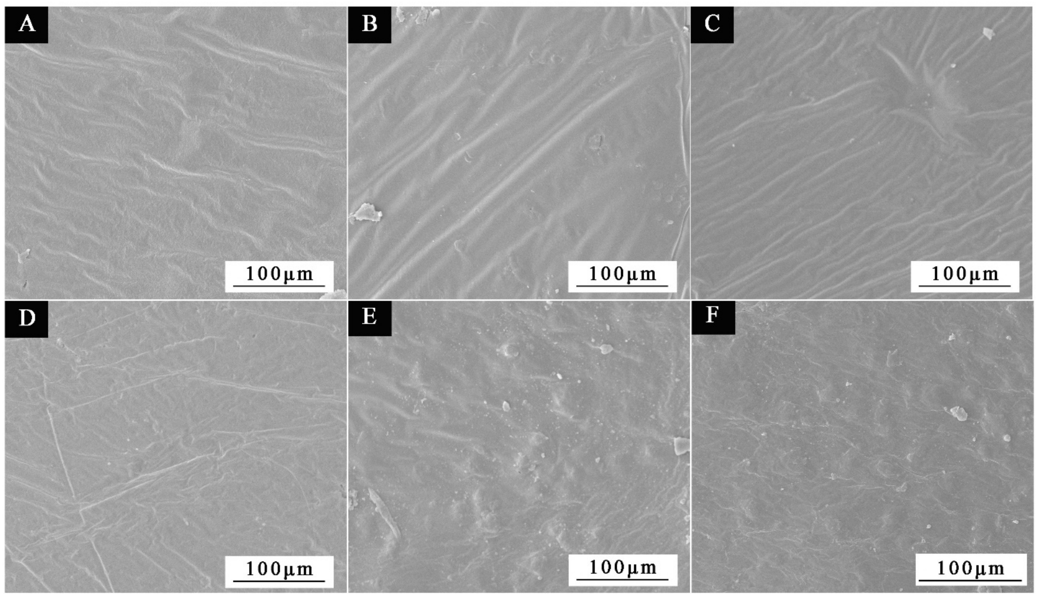 Polymers 15 01722 g014