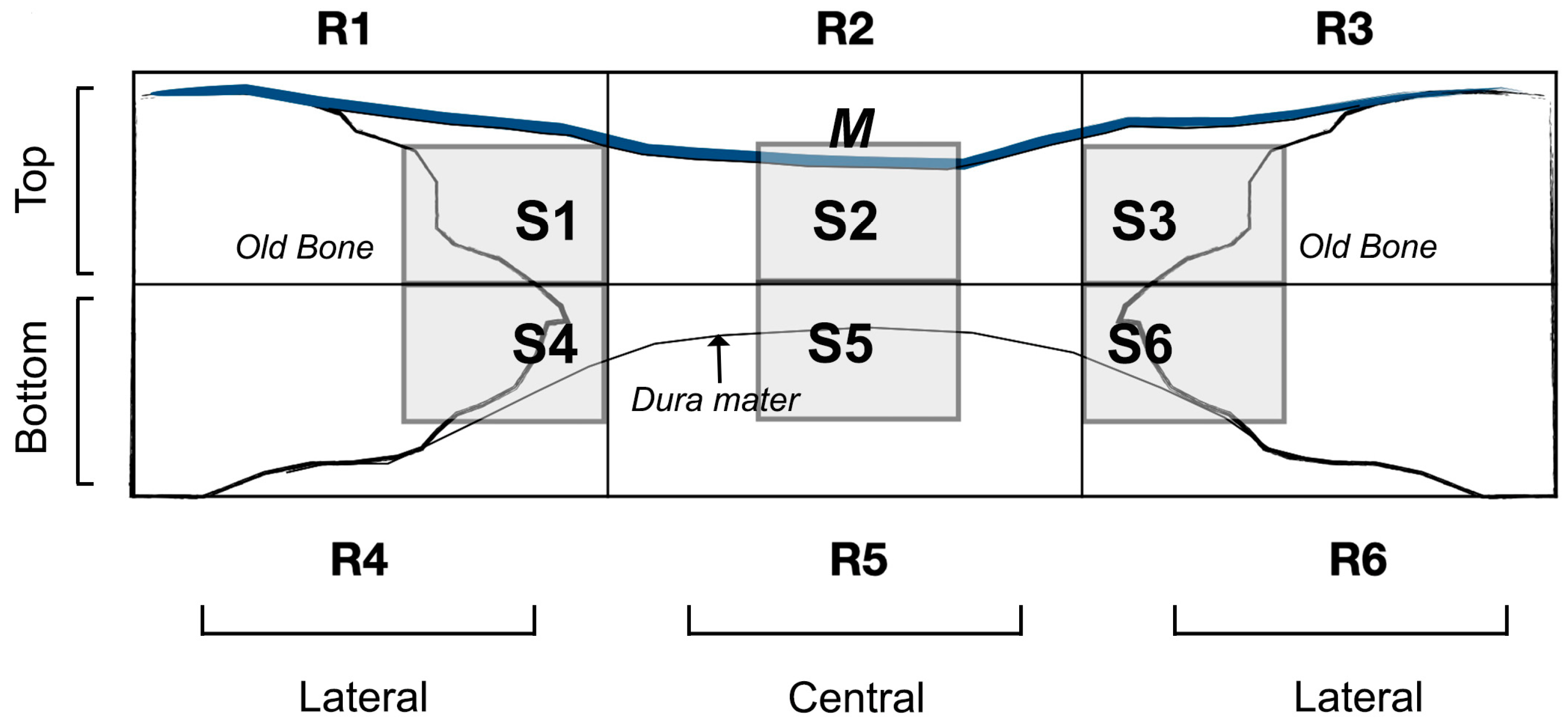 Polymers 15 01726 g001