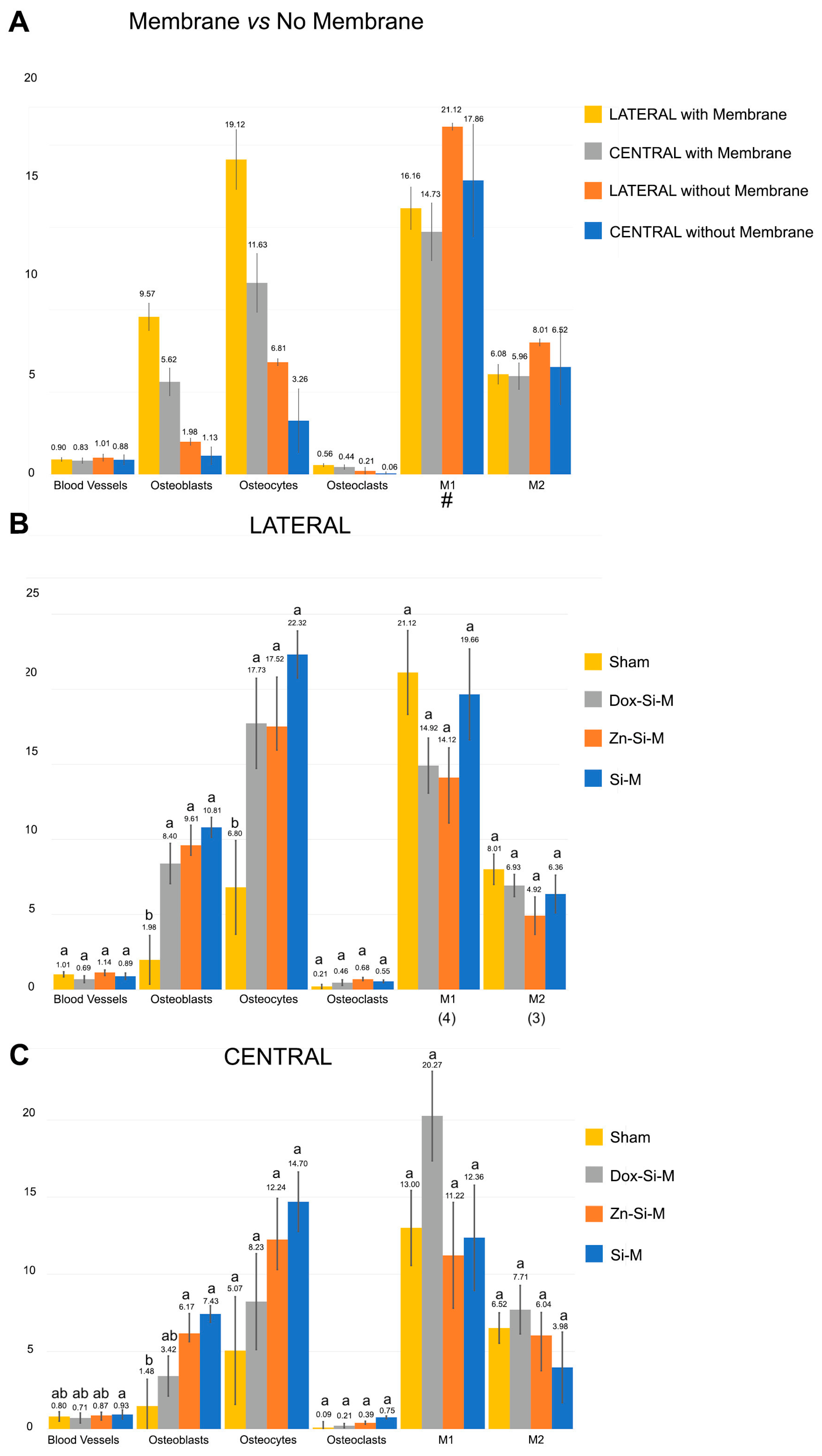 Polymers 15 01726 g003