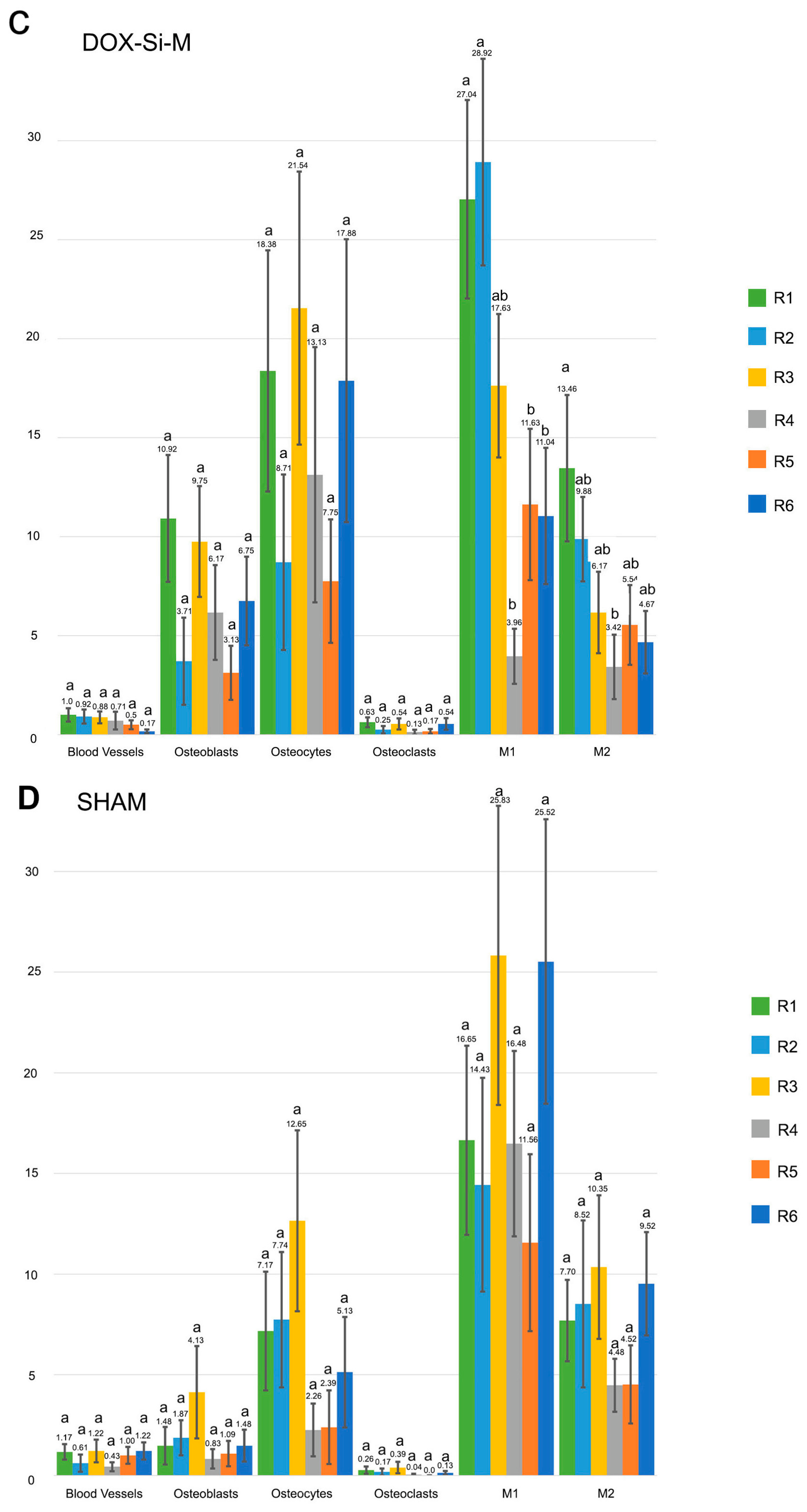 Polymers 15 01726 g004b