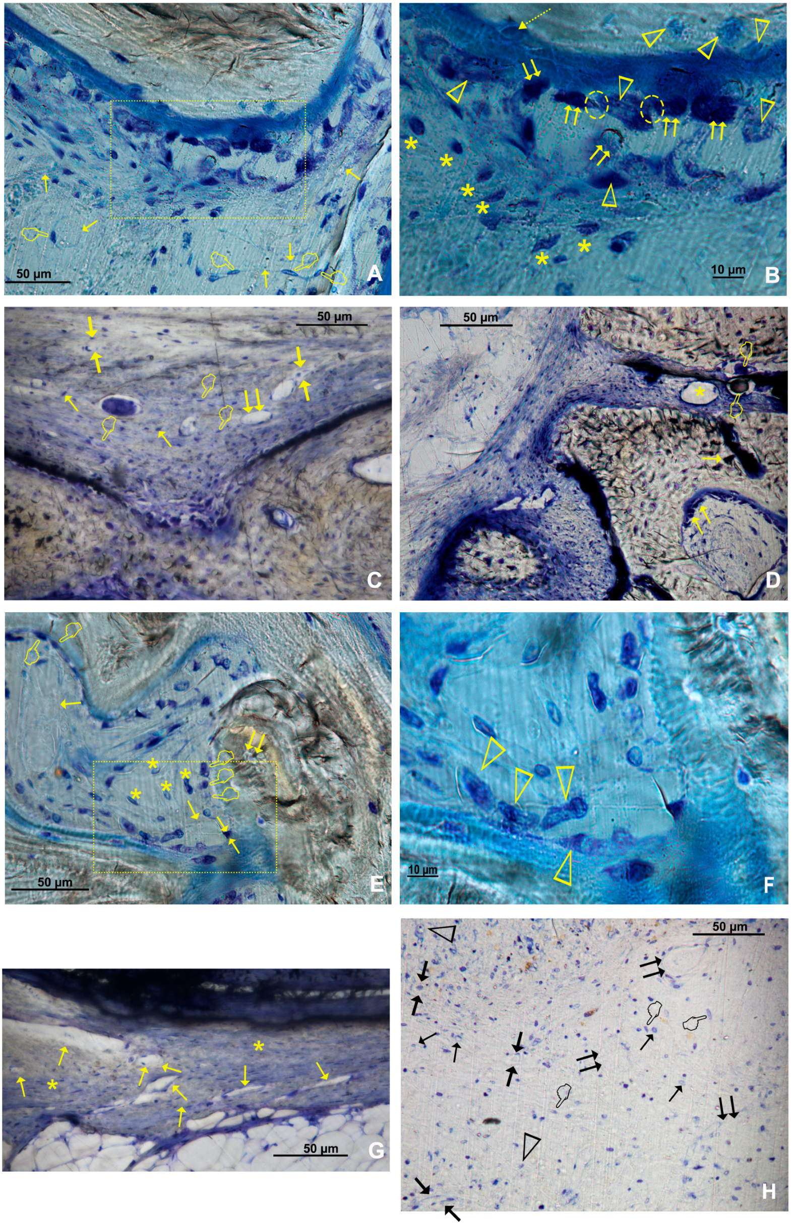Polymers 15 01726 g005