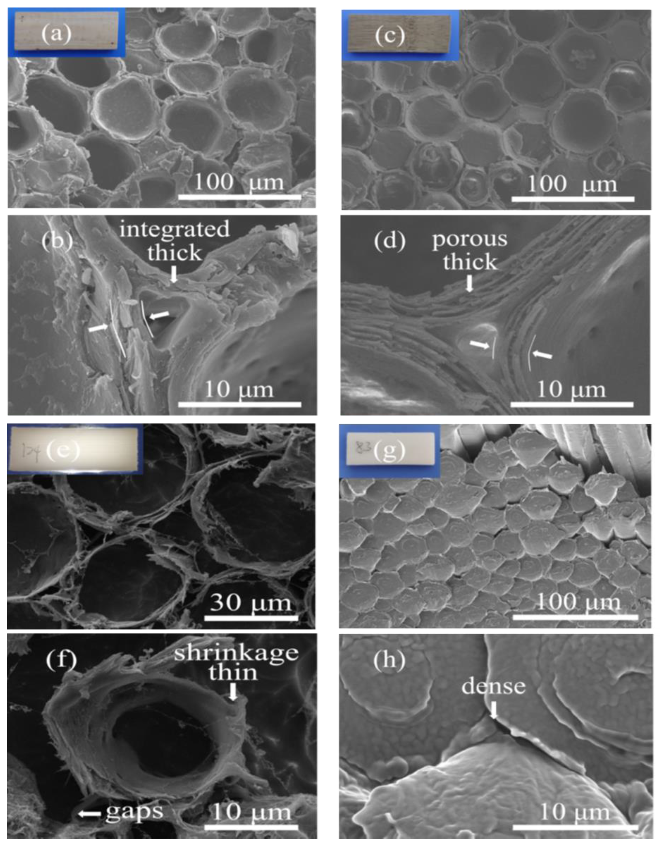 Polymers 15 01727 g004