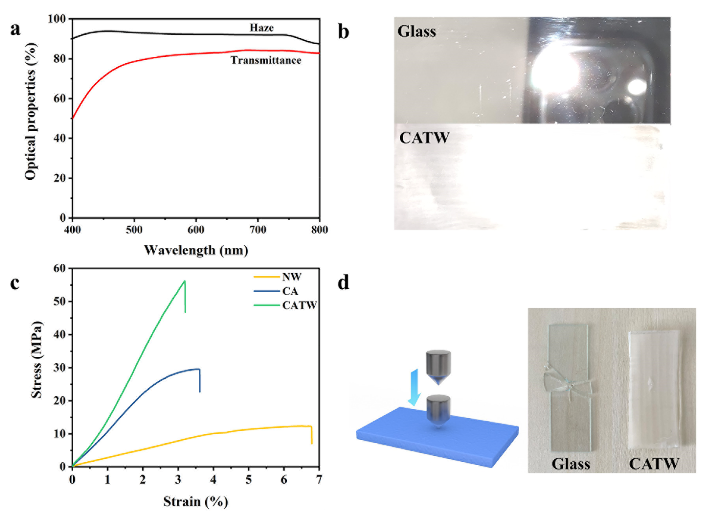 Polymers 15 01733 g002