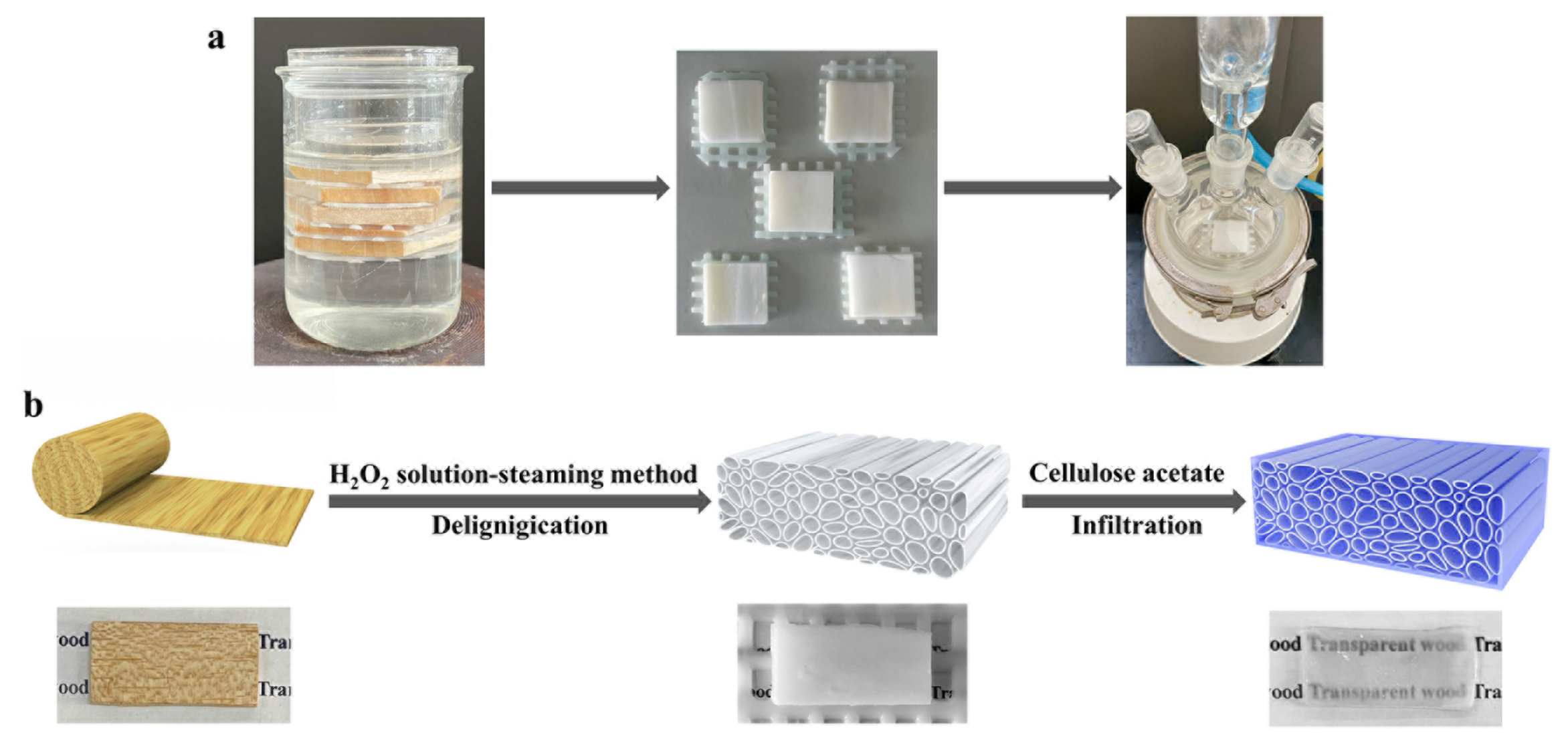 Polymers 15 01733 sch001
