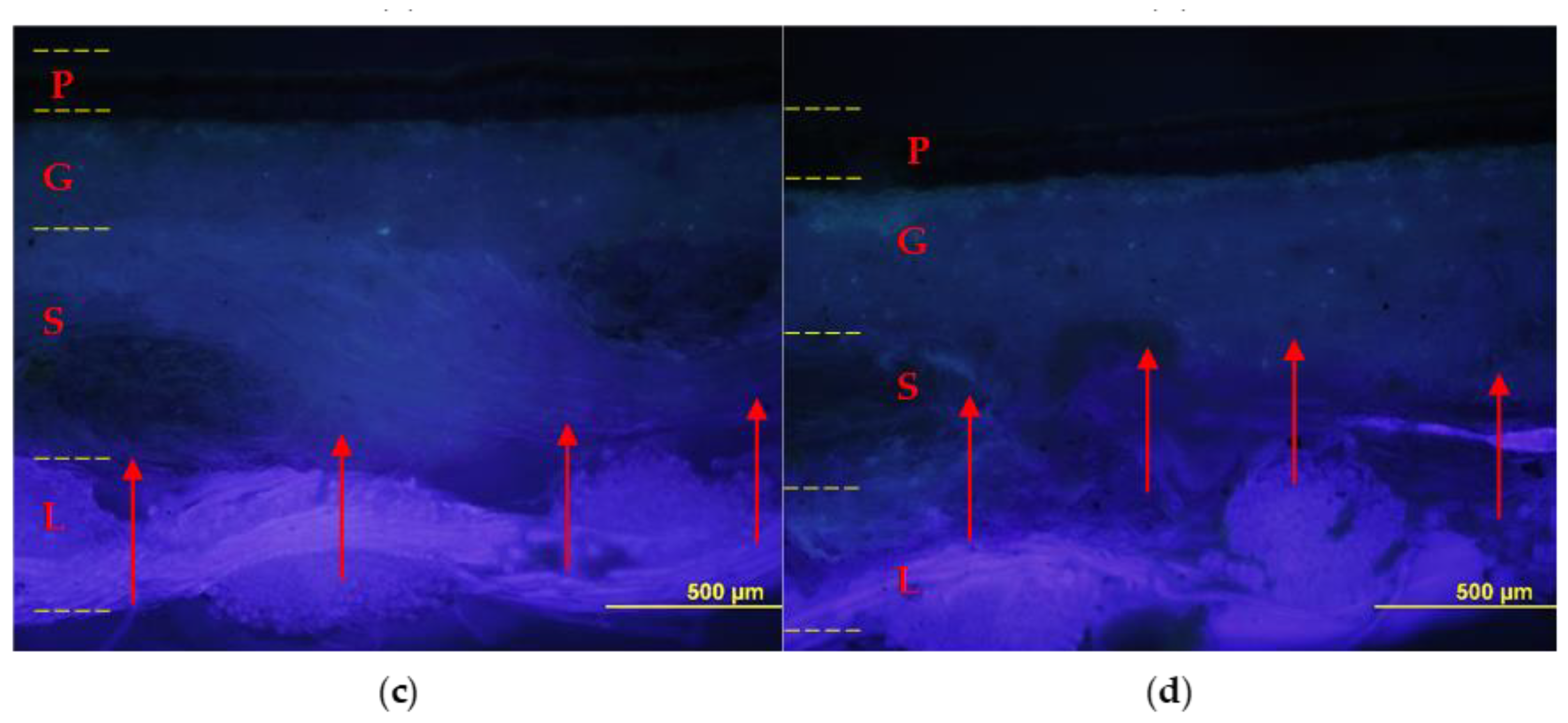 Polymers 15 01741 g008b