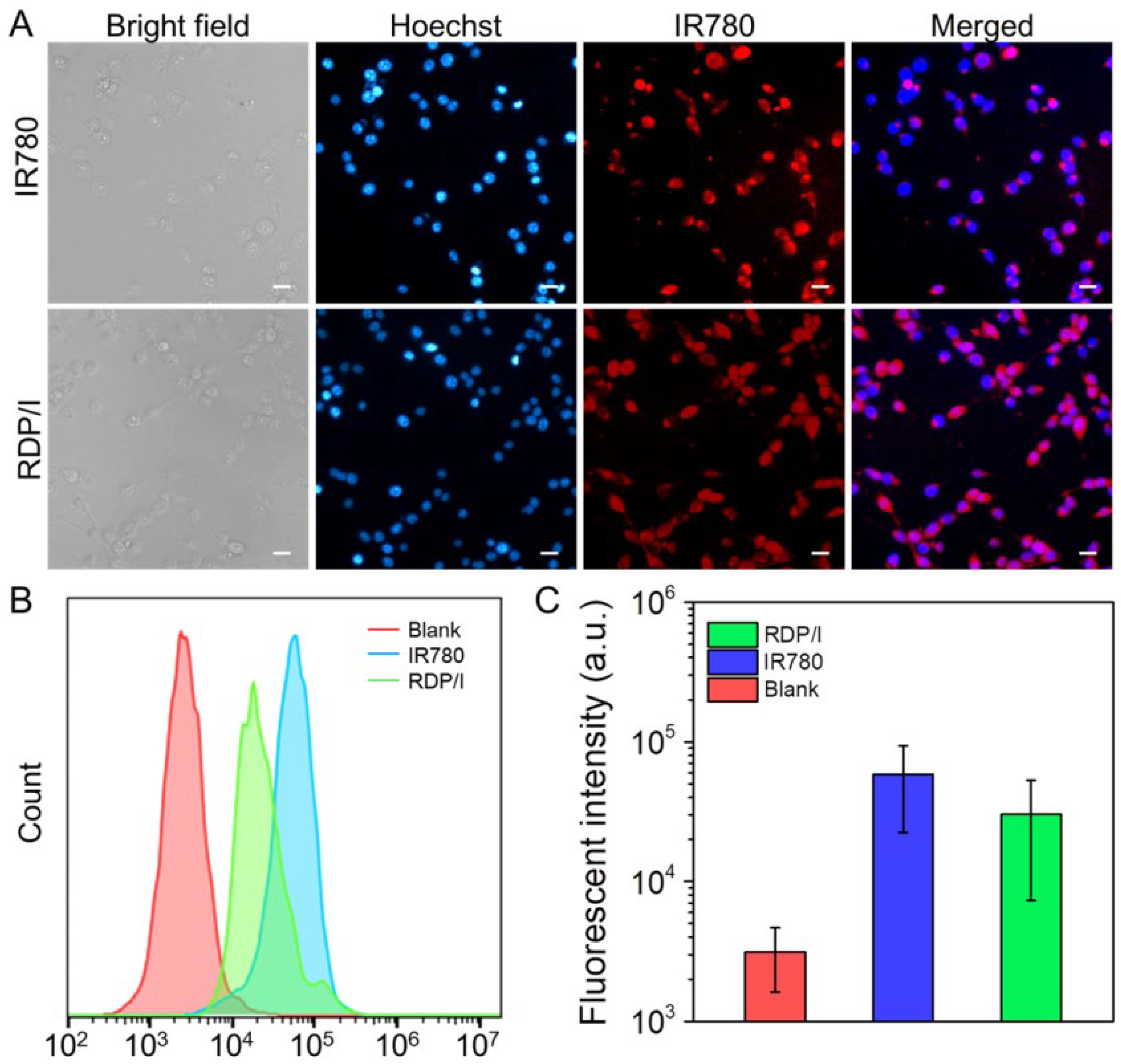 Polymers 15 01753 g005