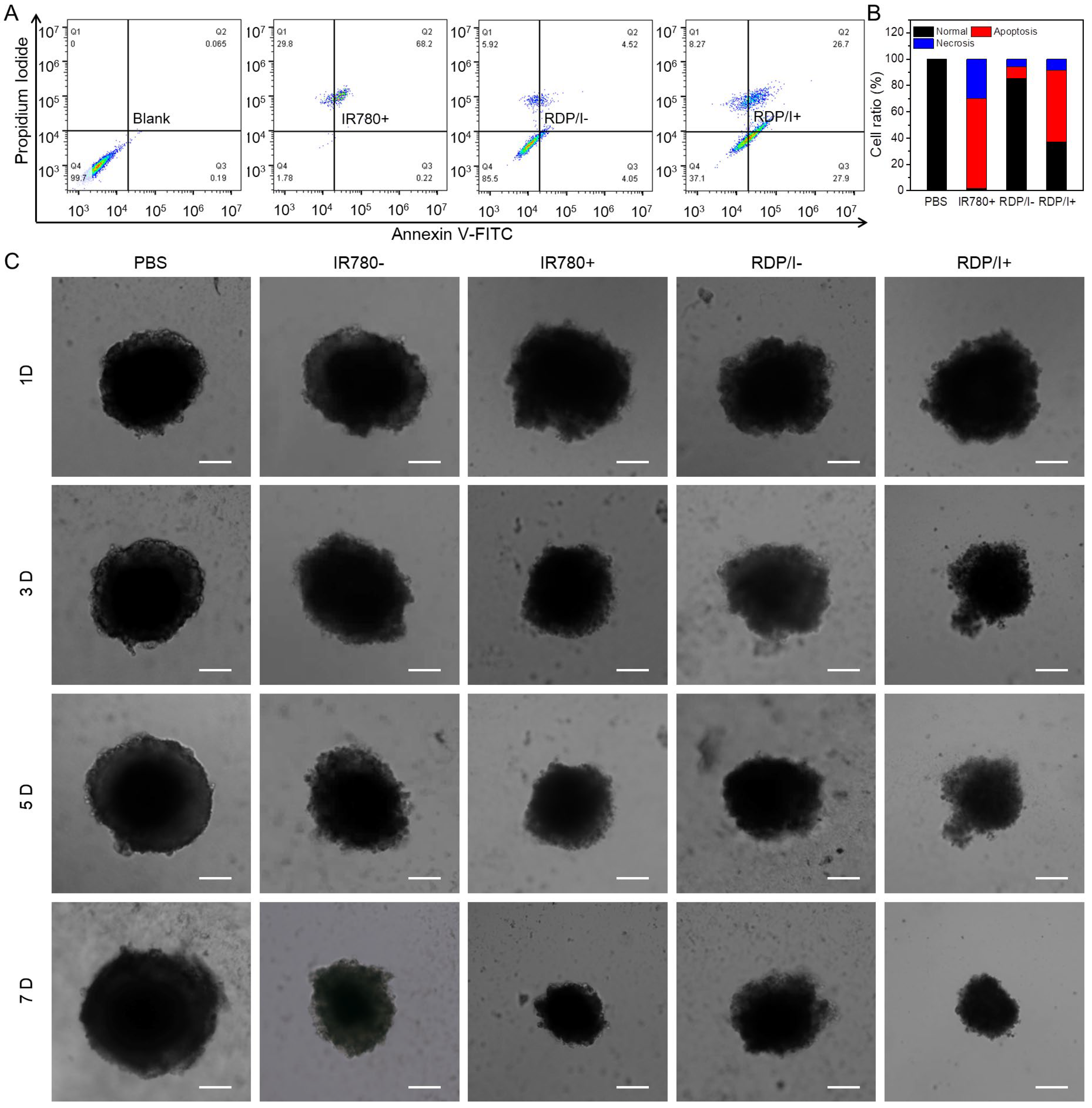 Polymers 15 01753 g006