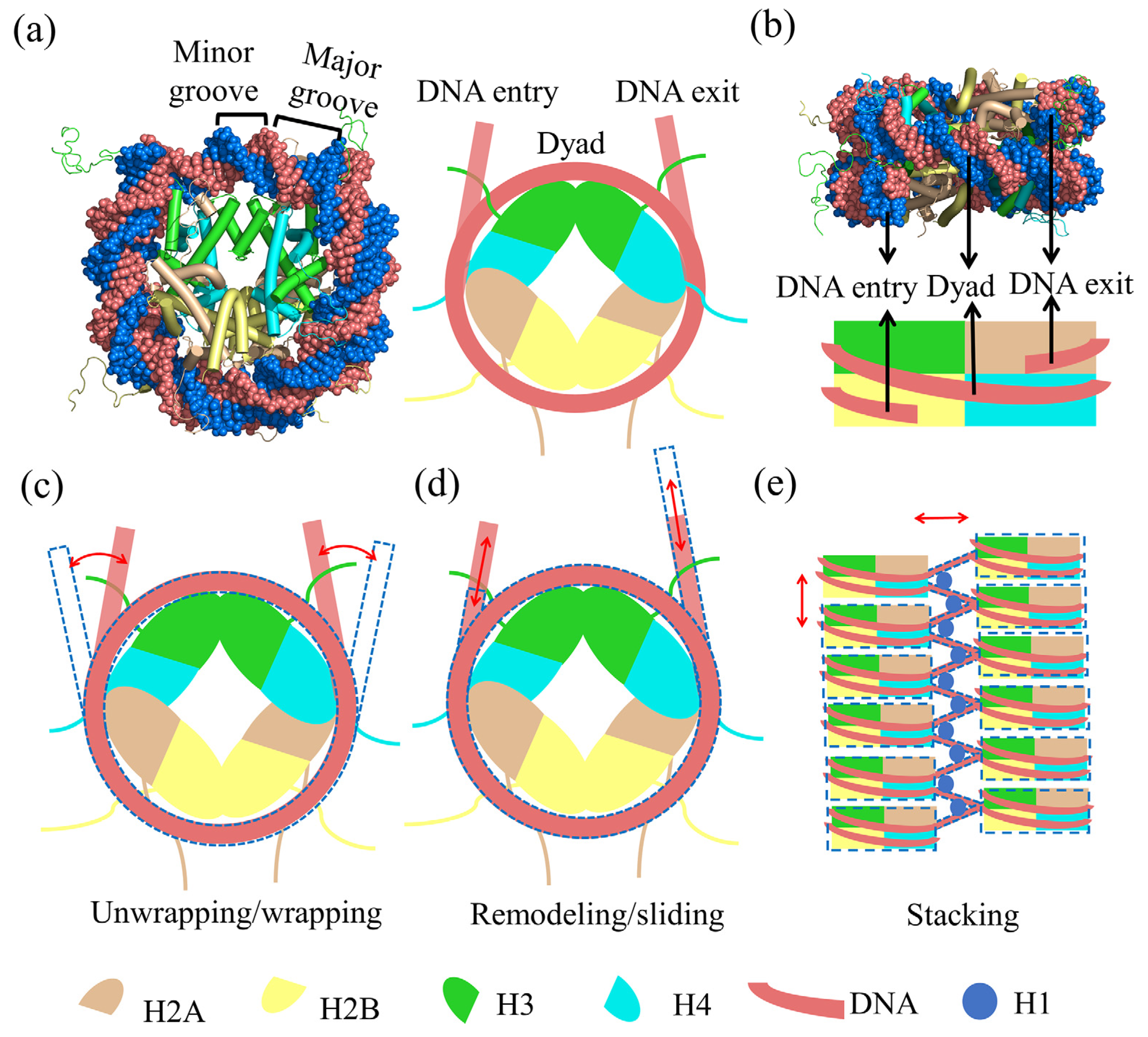 Polymers 15 01763 g001