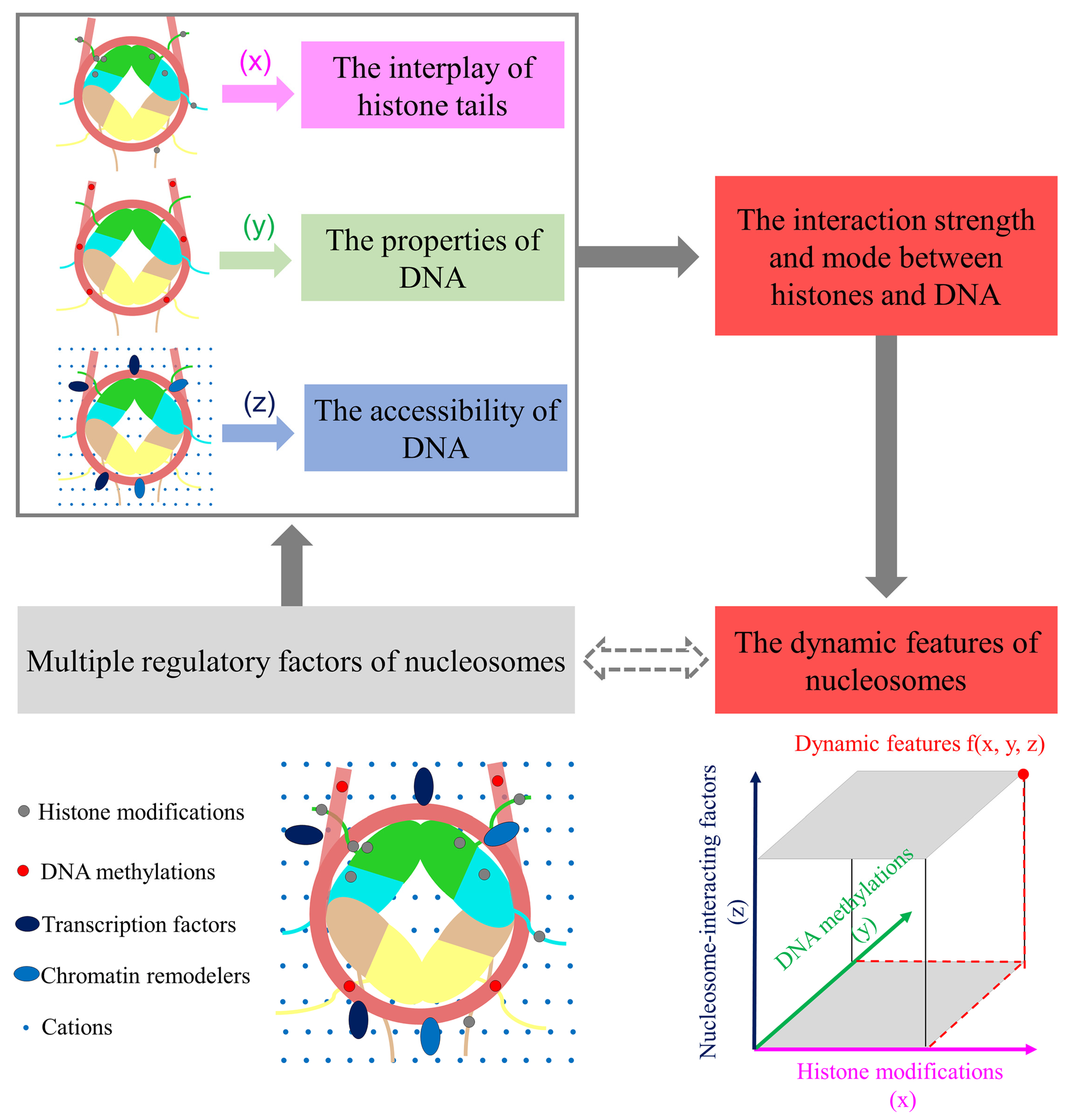Polymers 15 01763 g002