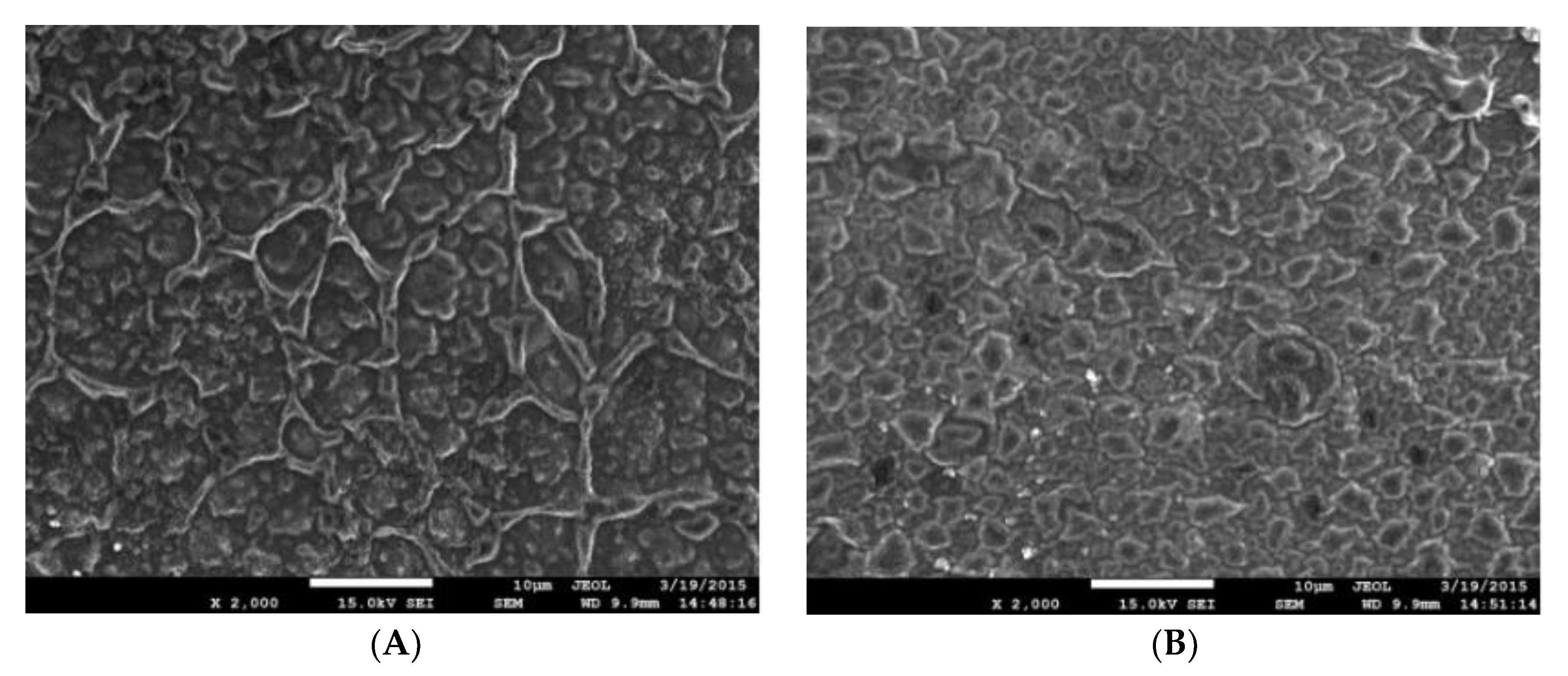 Polymers 15 01764 g009