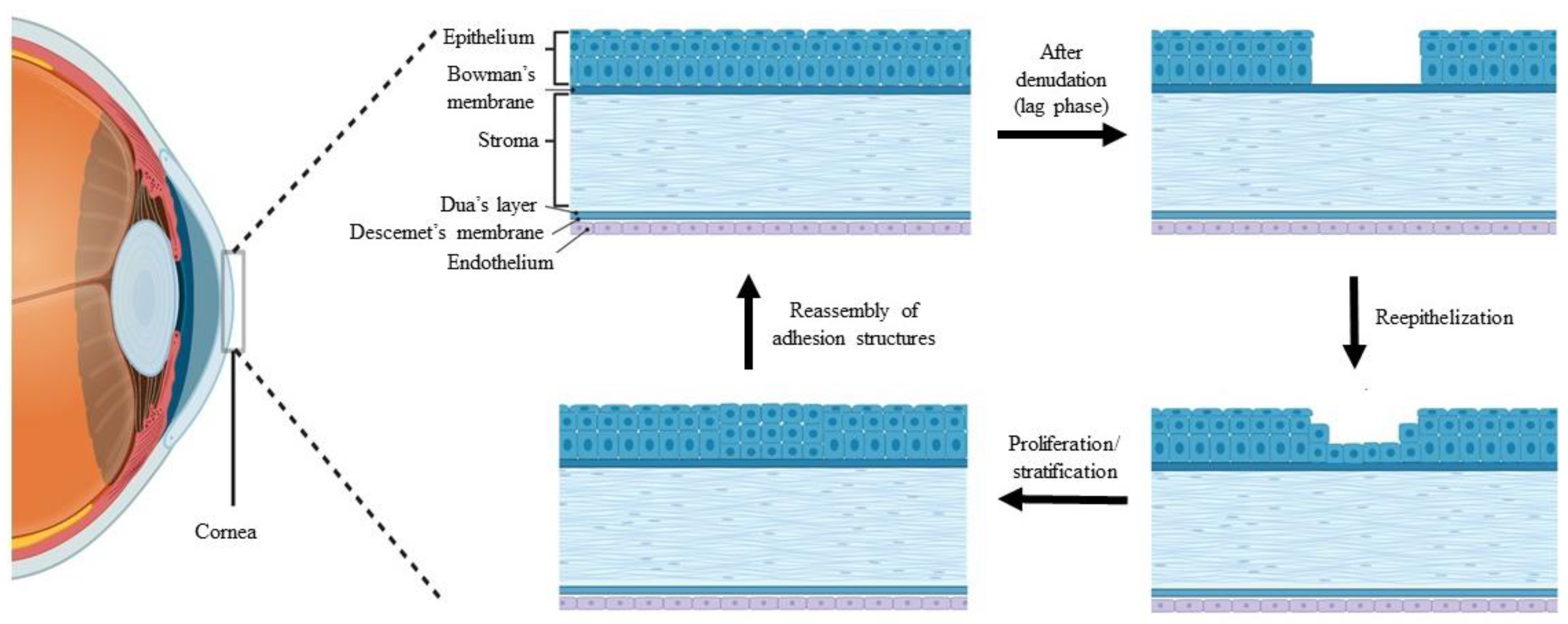 Polymers 15 01766 g001