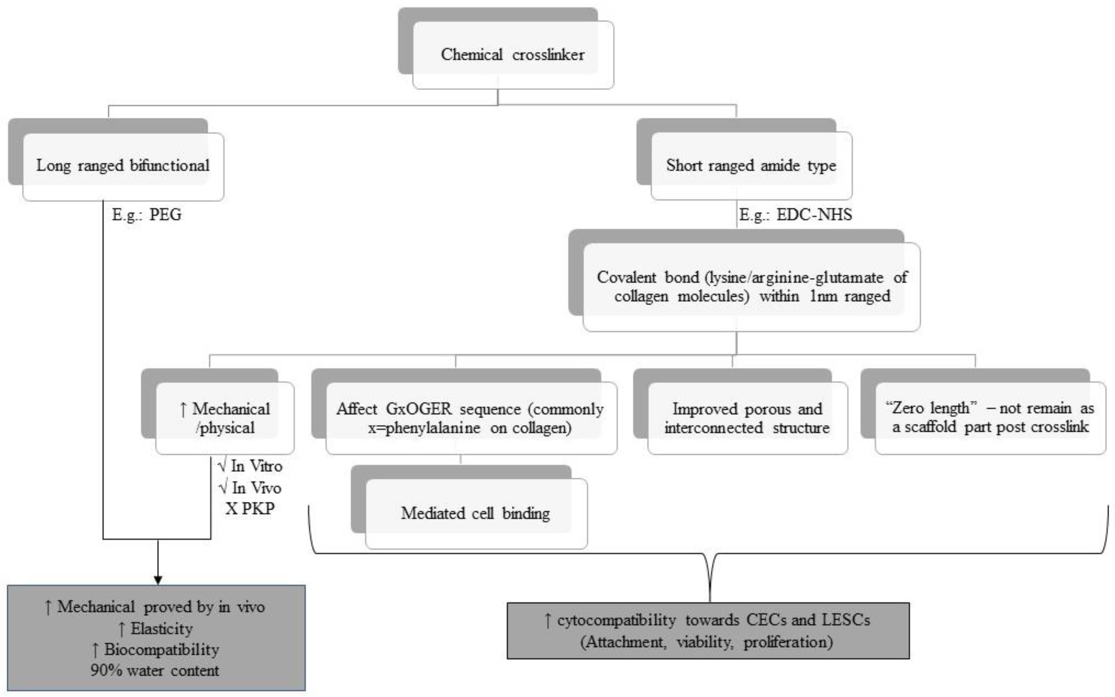 Polymers 15 01766 g005