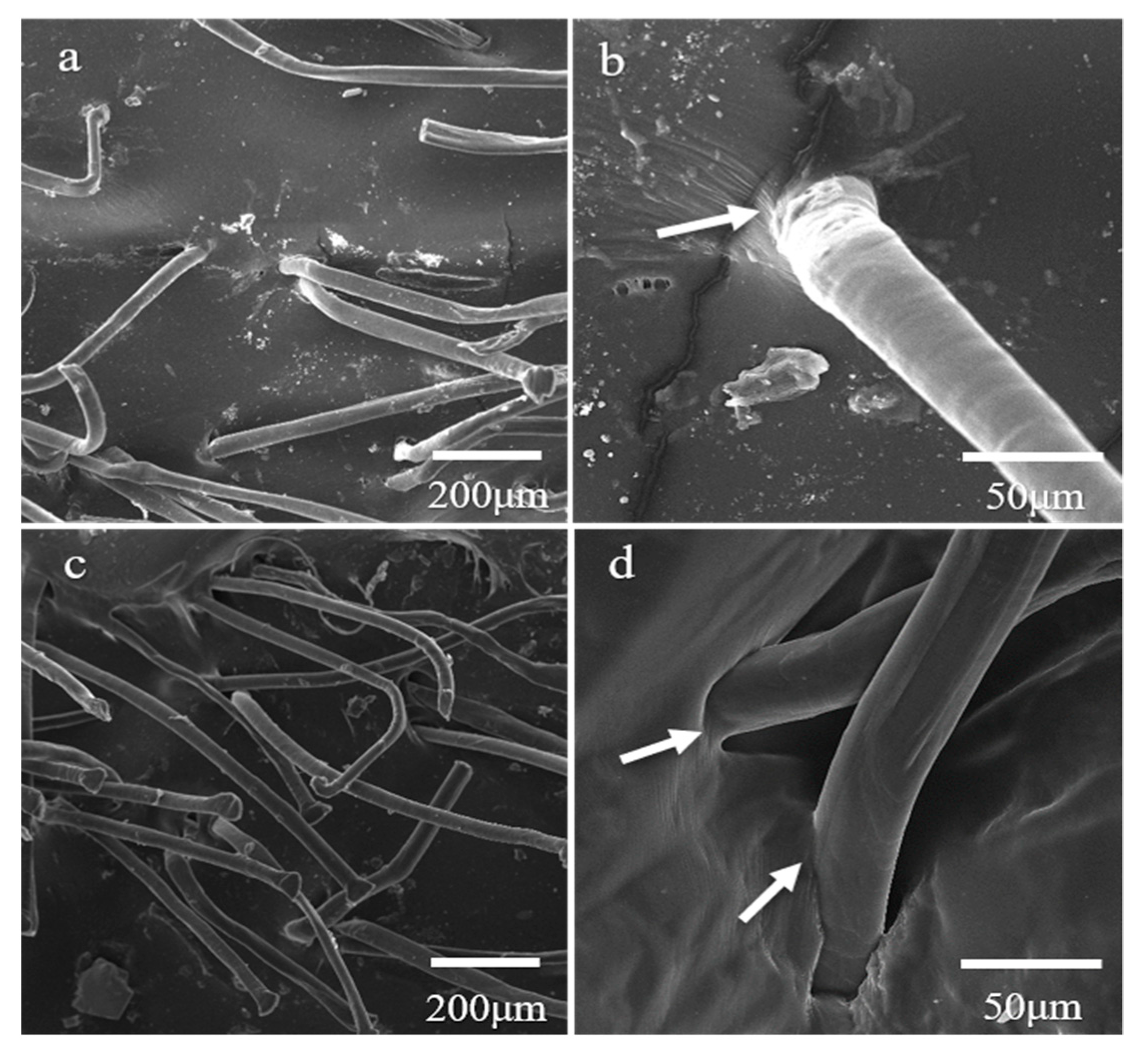 Polymers 15 01768 g004
