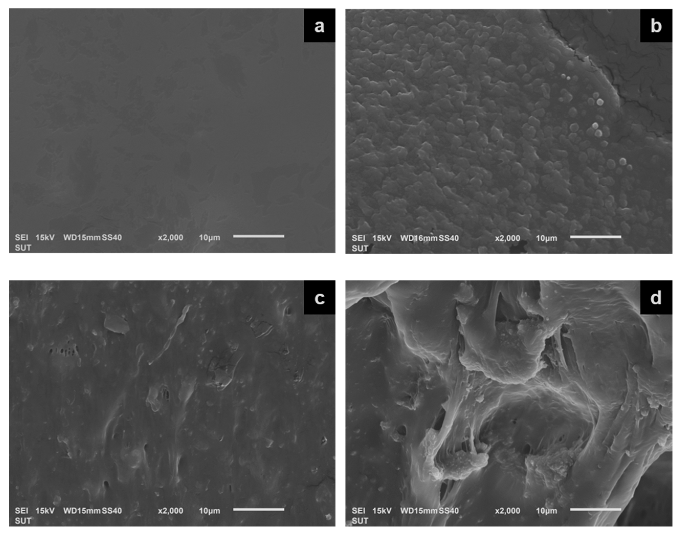Polymers 15 01770 g006