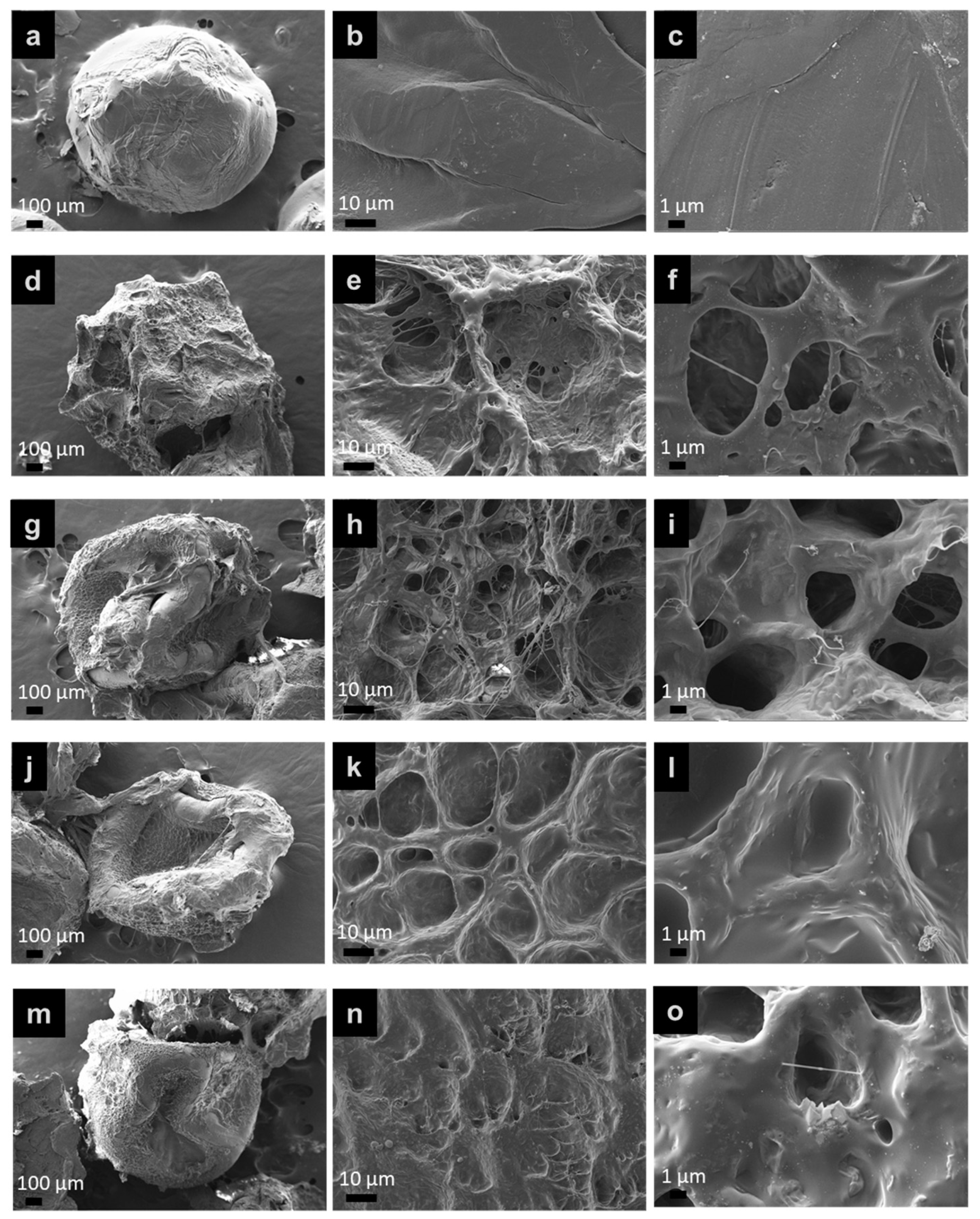 Polymers 15 01770 g012