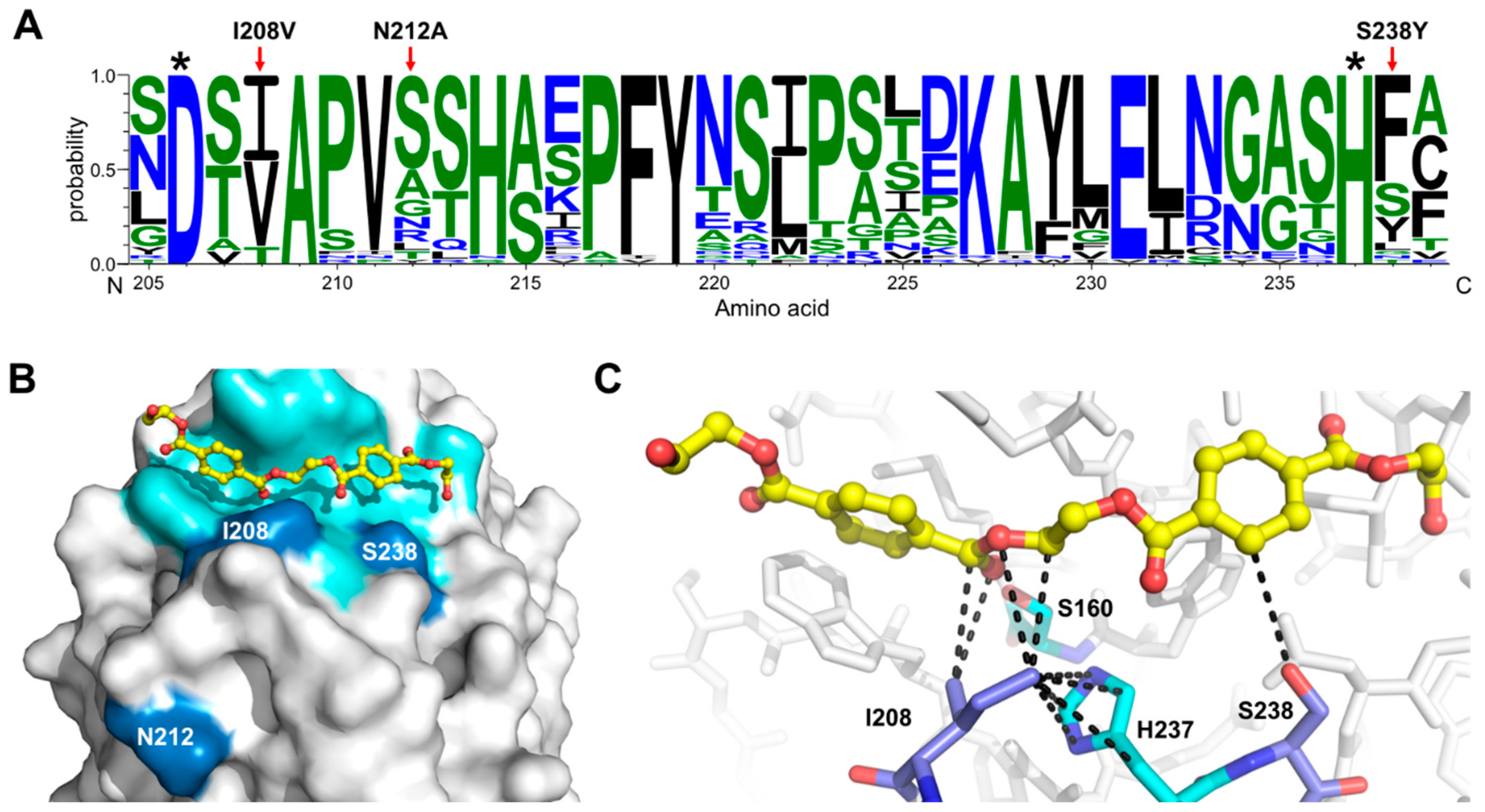 Polymers 15 01779 g002