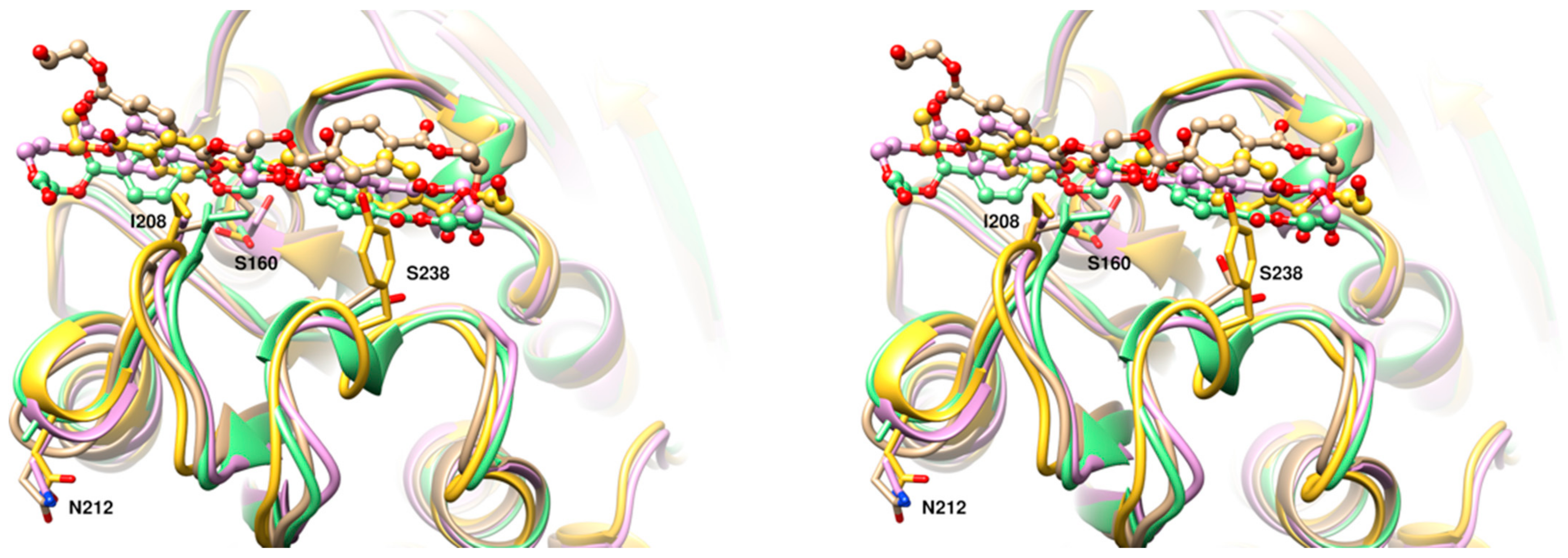 Polymers 15 01779 g006