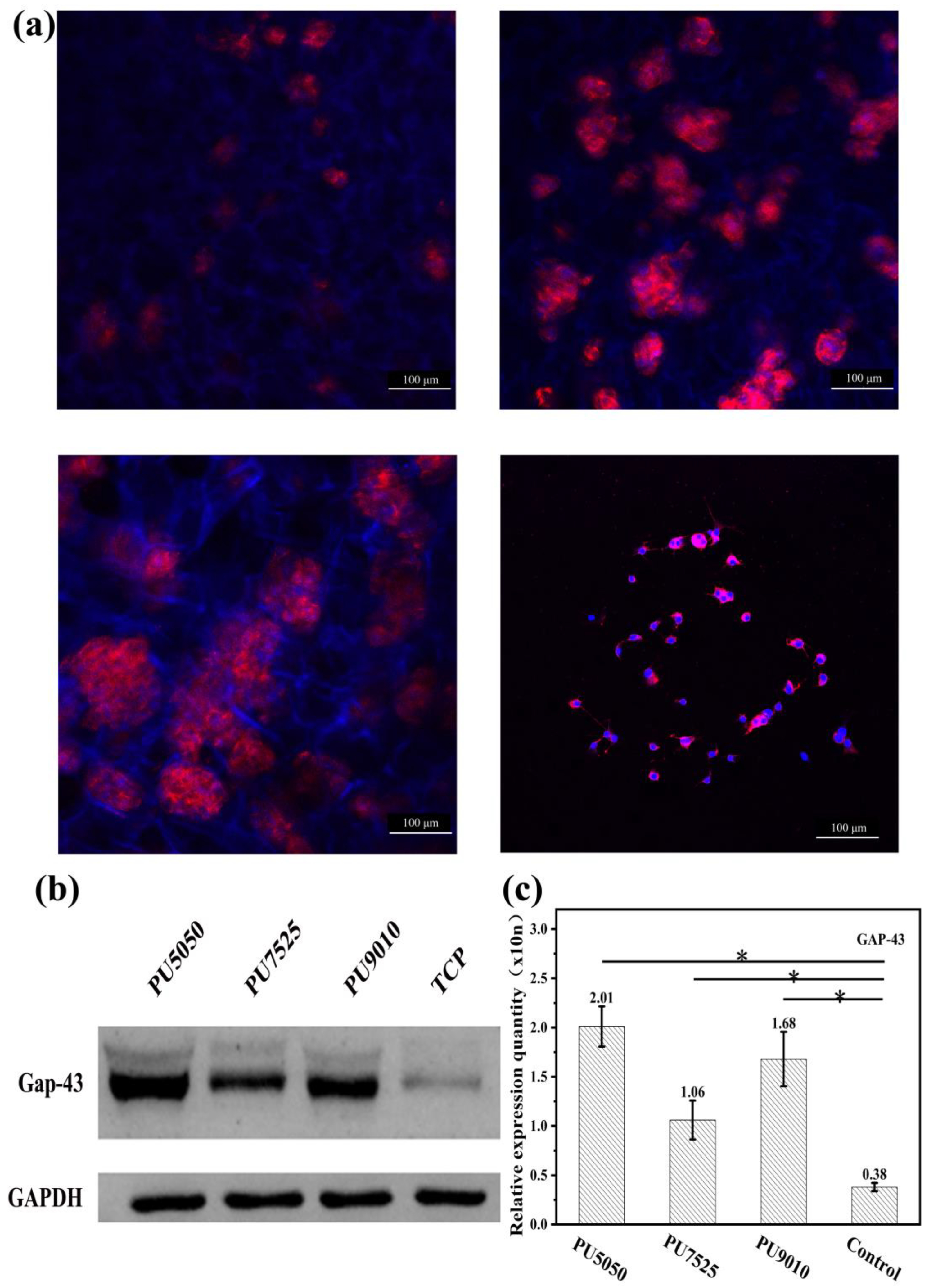 Polymers 15 01786 g004