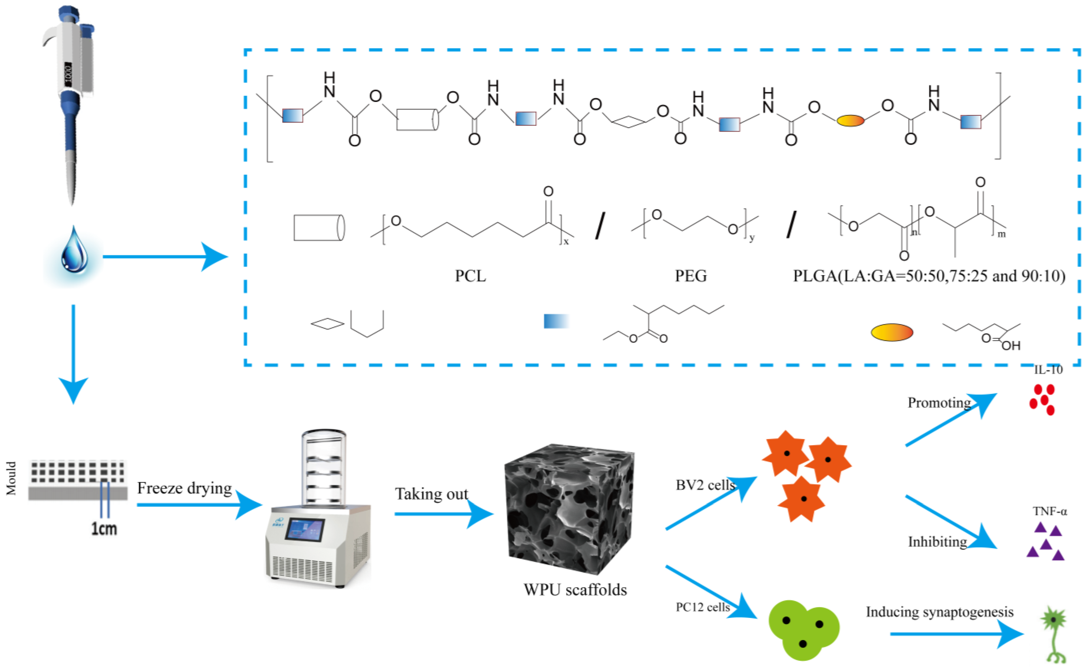 Polymers 15 01786 sch001