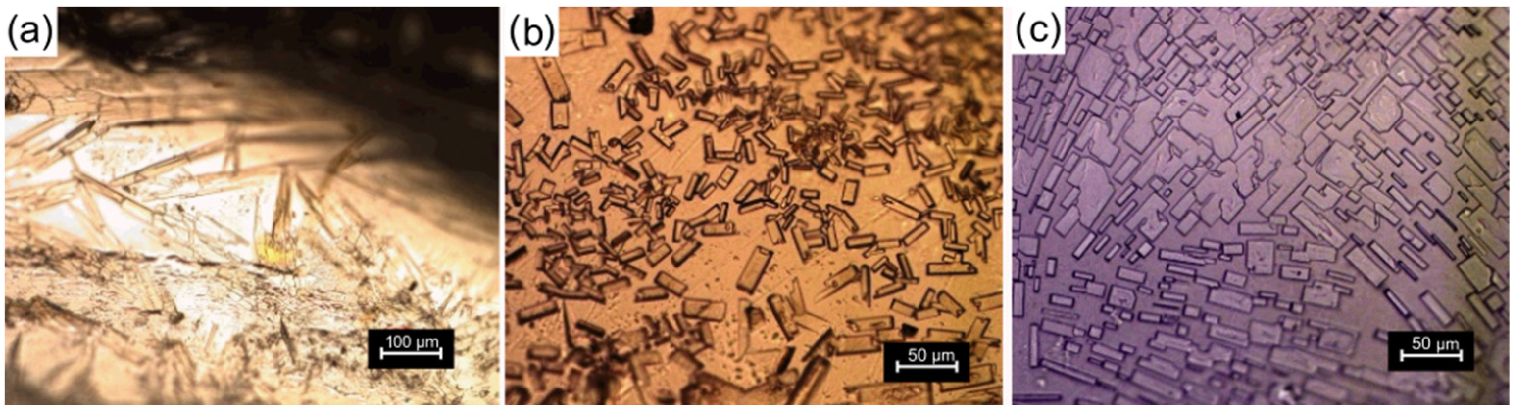 Polymers 15 01795 g007