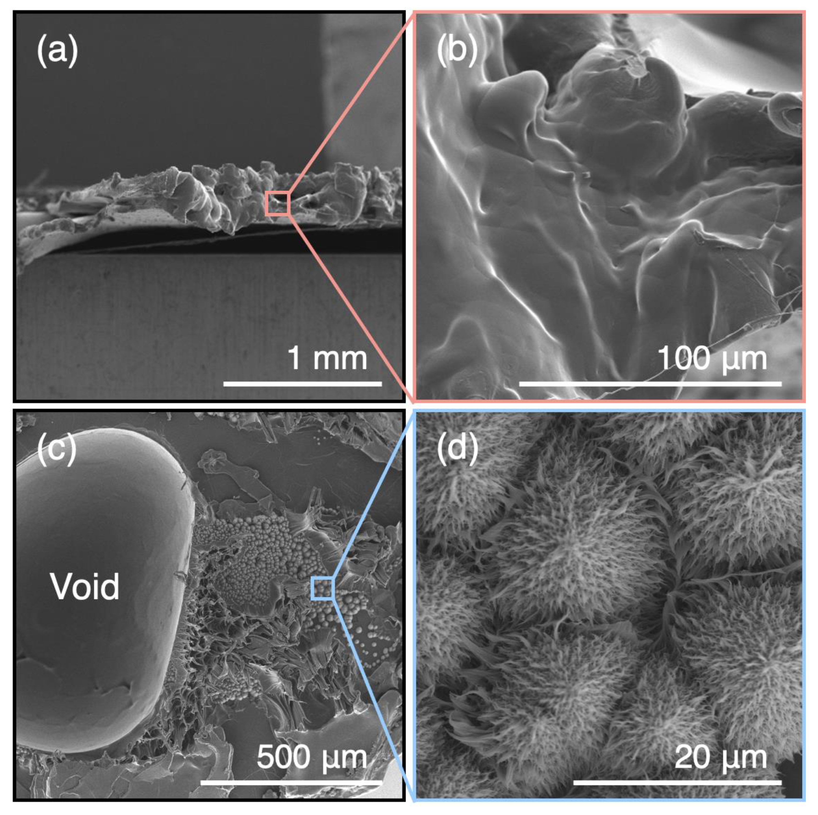 Polymers 15 01796 g005