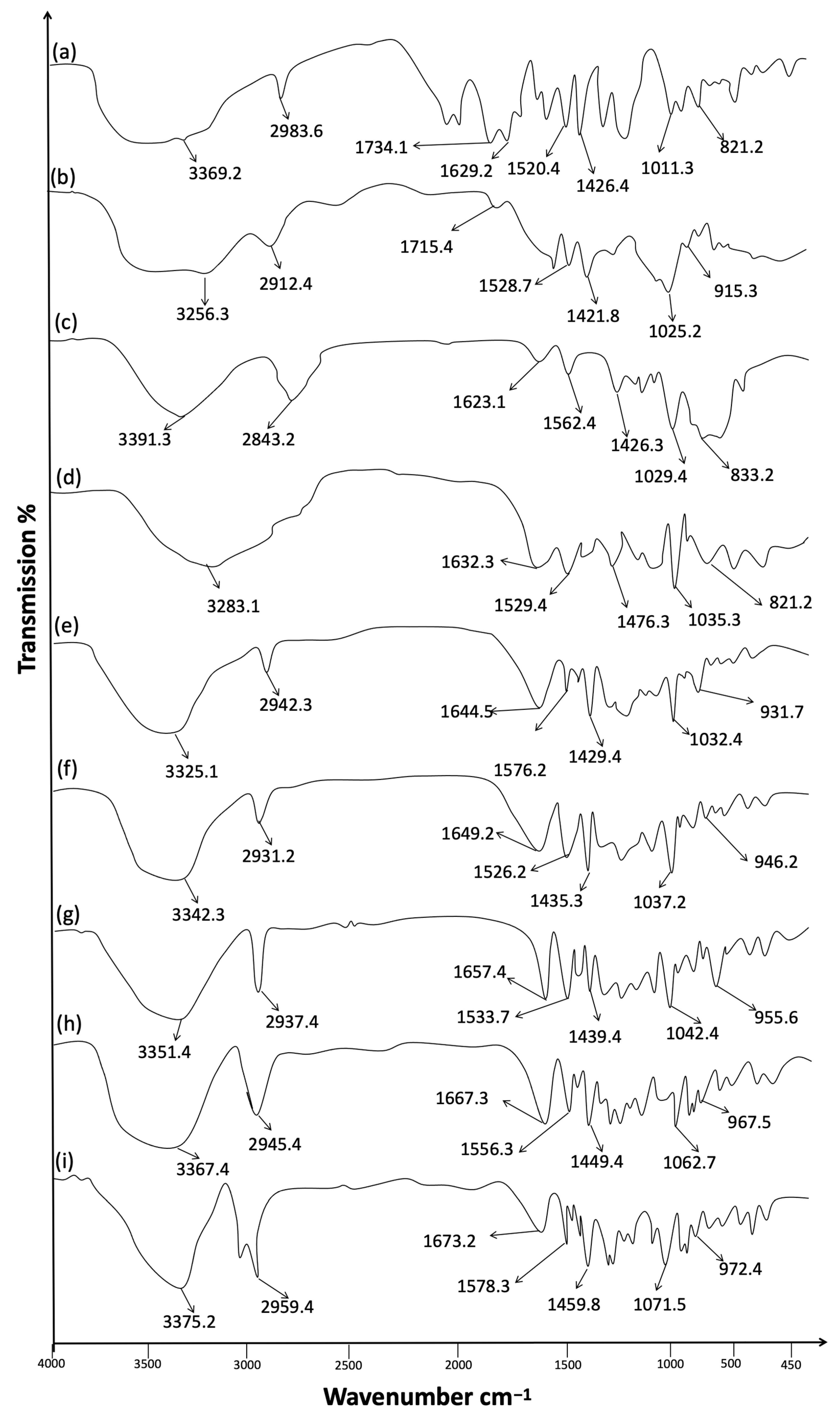 Polymers 15 01798 g001