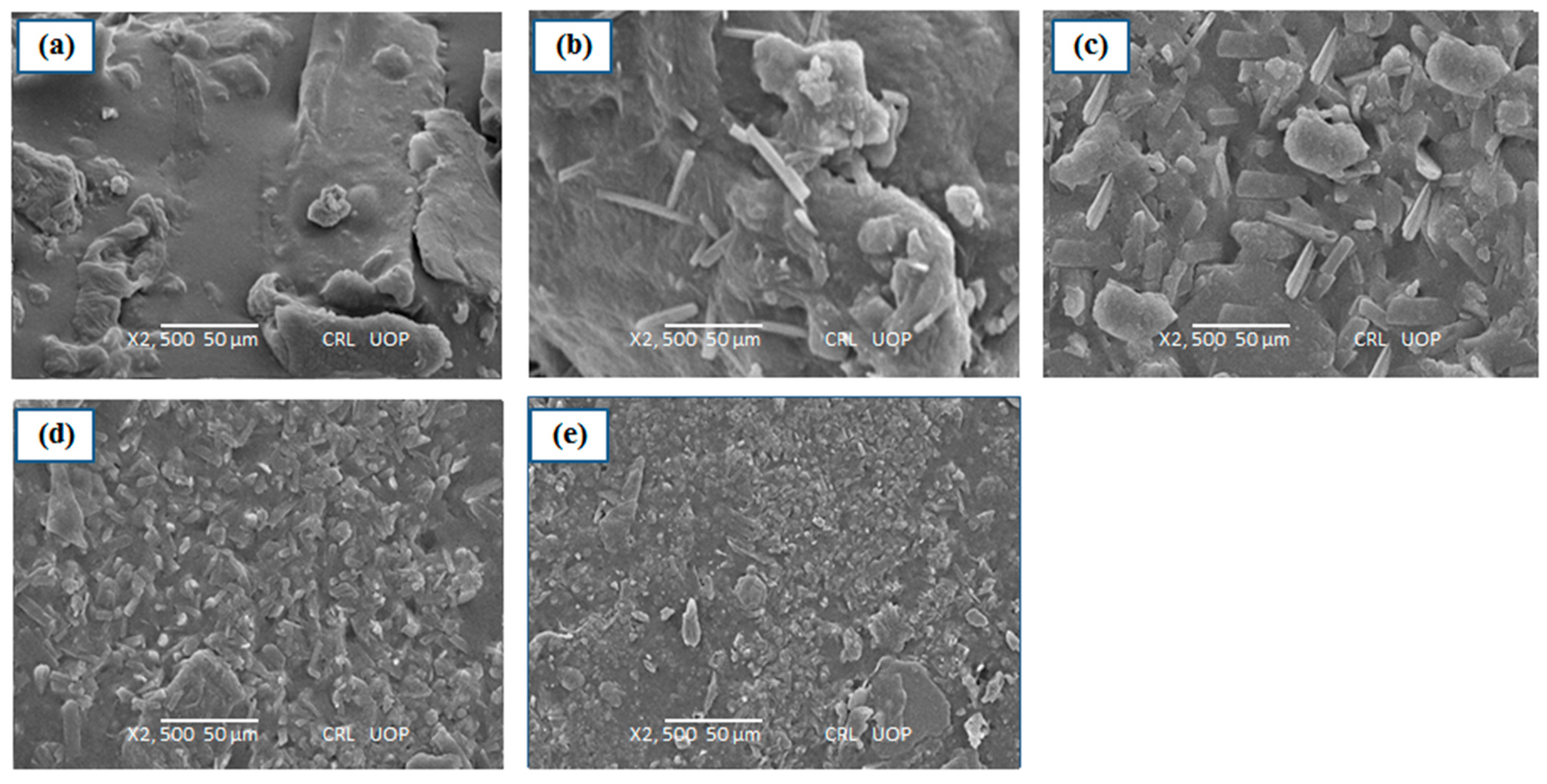 Polymers 15 01798 g004