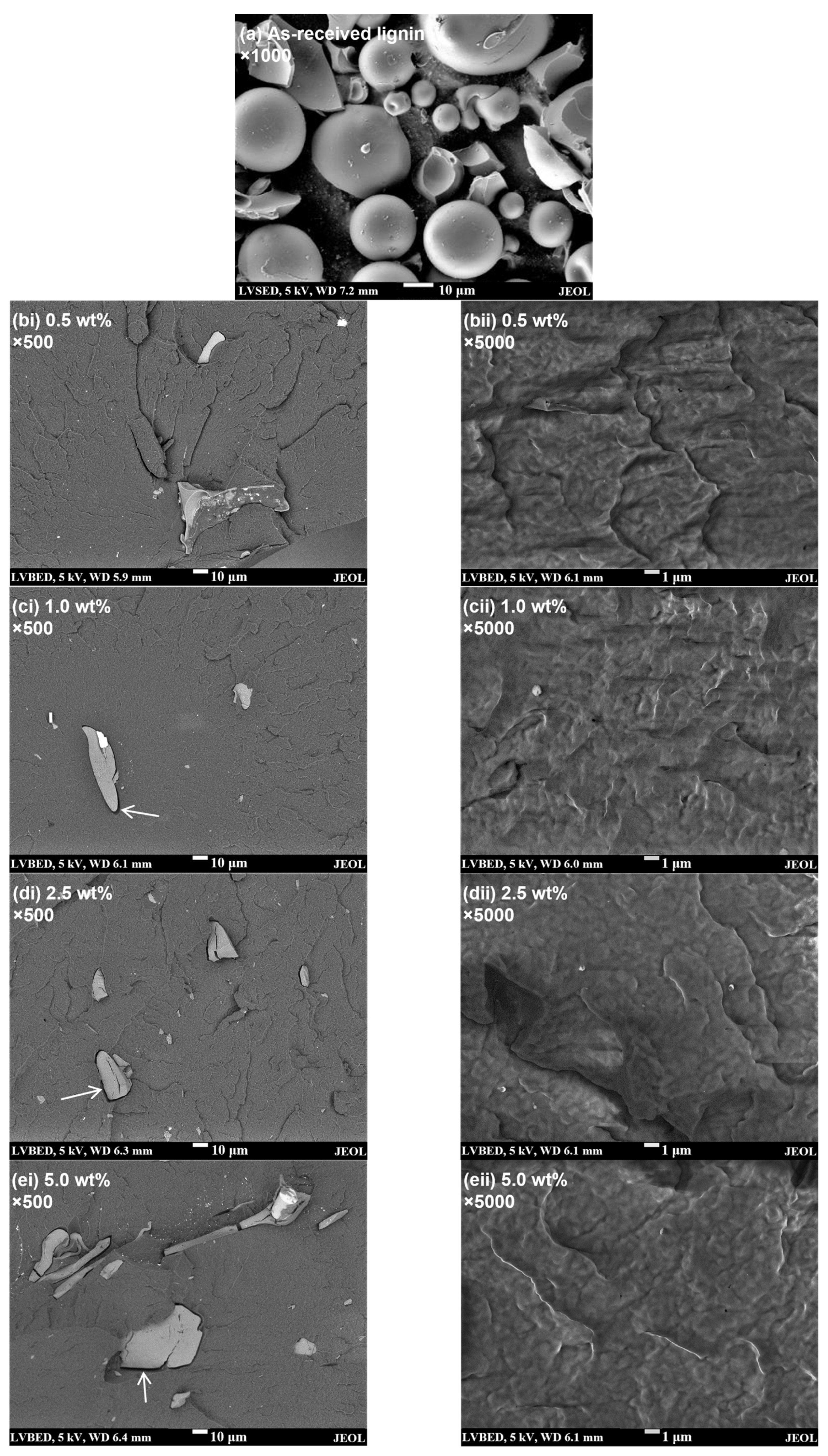 Polymers 15 01813 g001